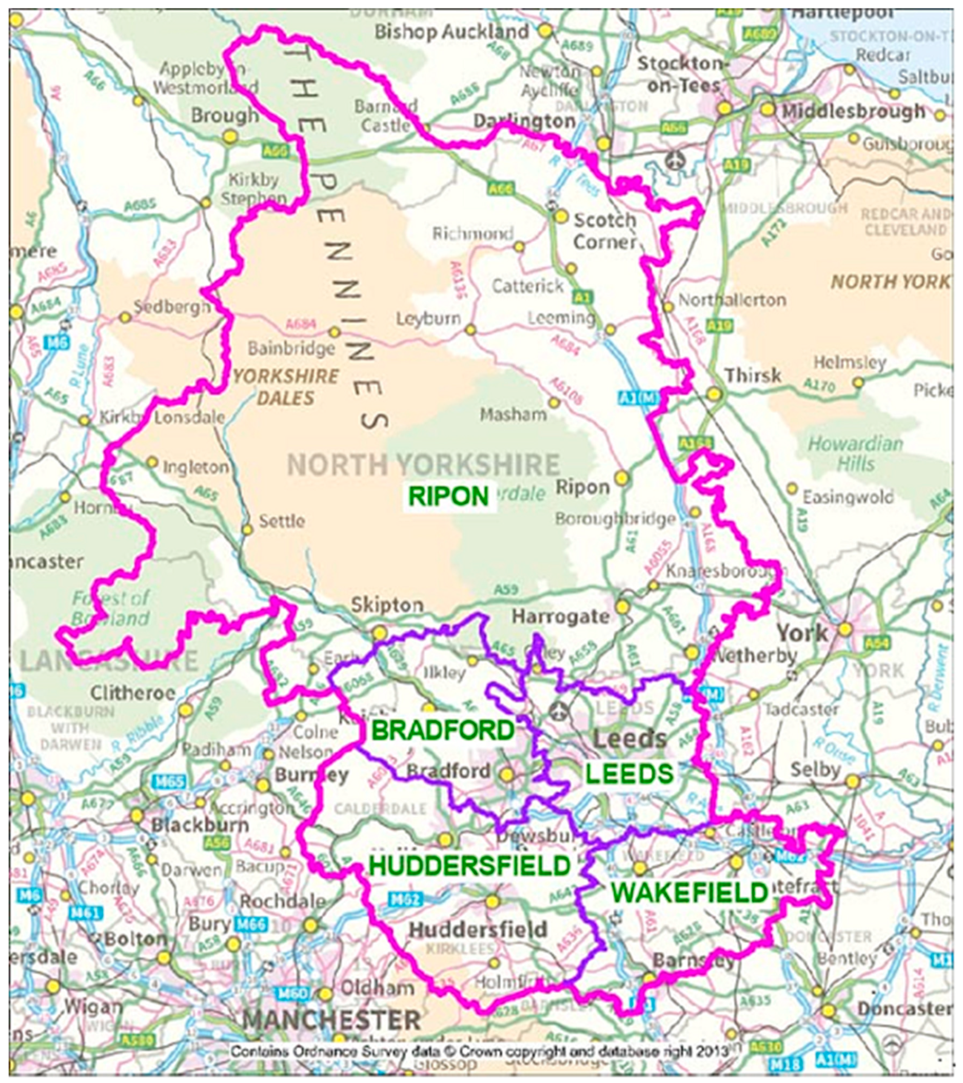 Religions 12 00148 g001