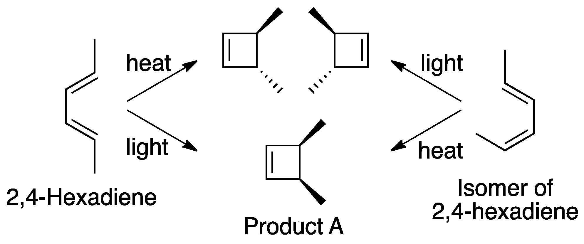 Religions 12 00151 g003