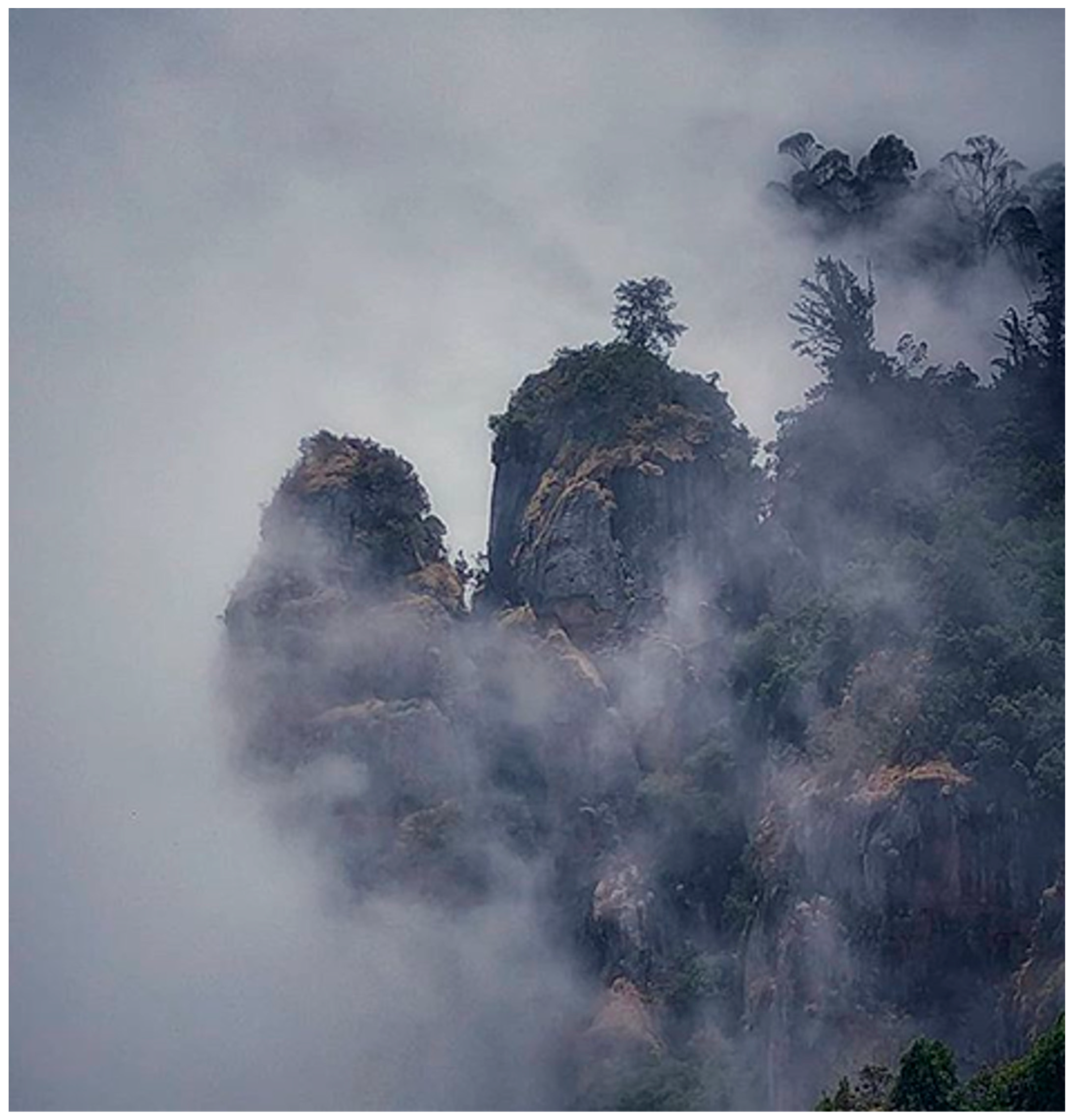 Religions 12 00185 g002