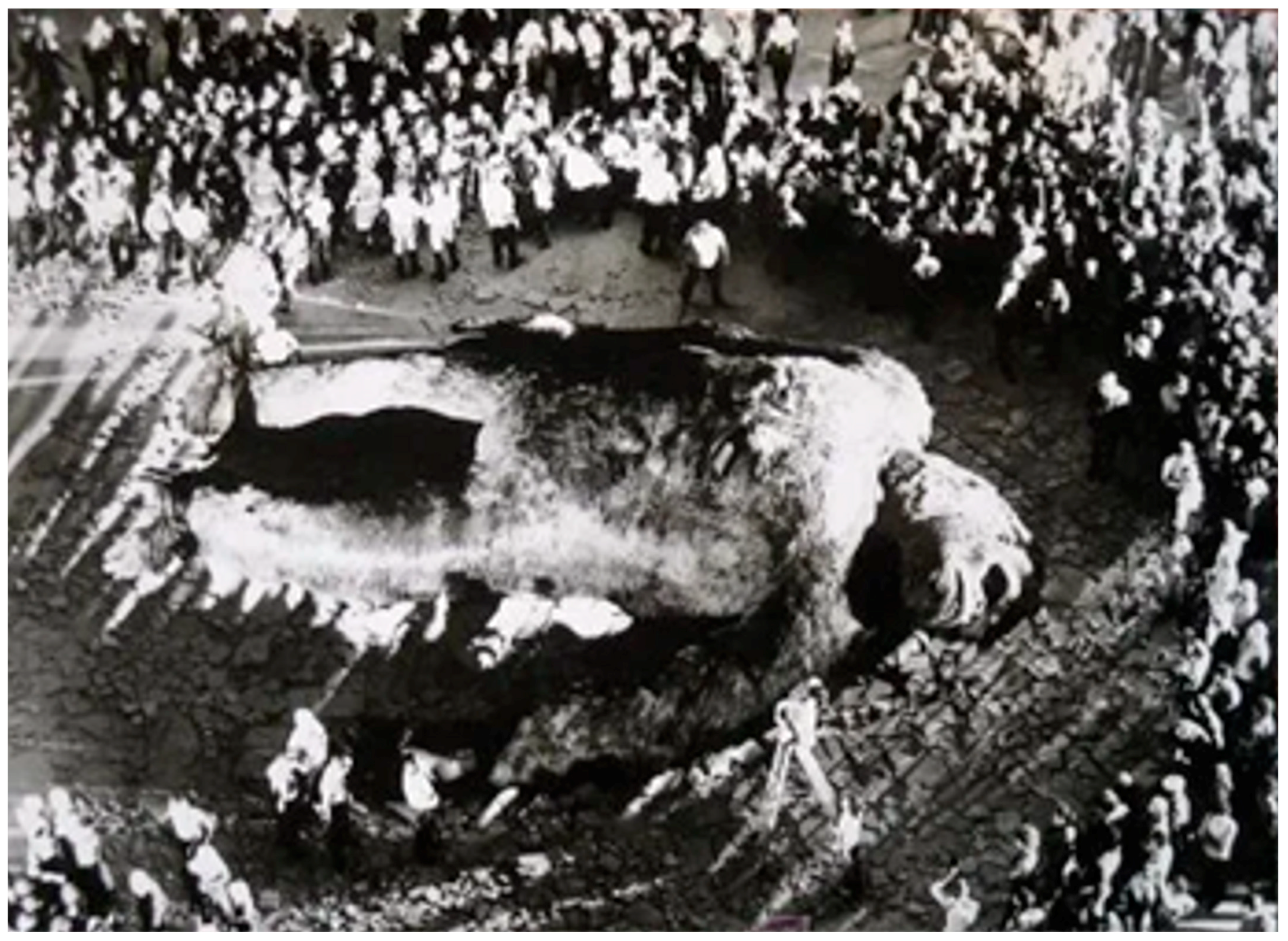 Religions 12 00185 g014