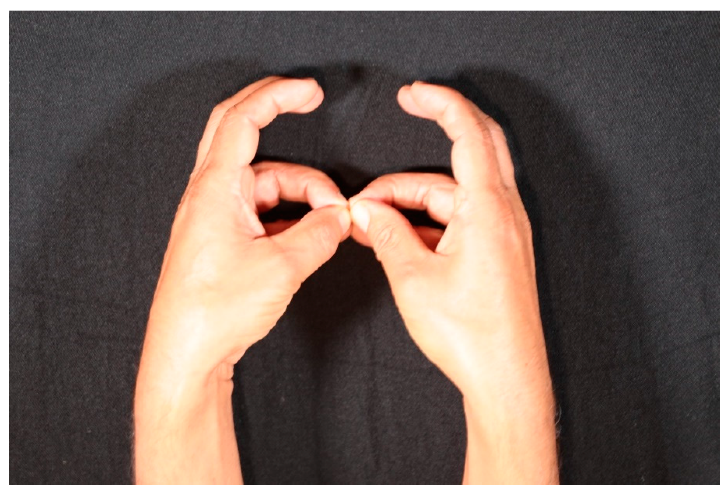 Religions Free Full Text Language Of Gestures Mudra Mirror And Meaning In Sakta Philosophy Html