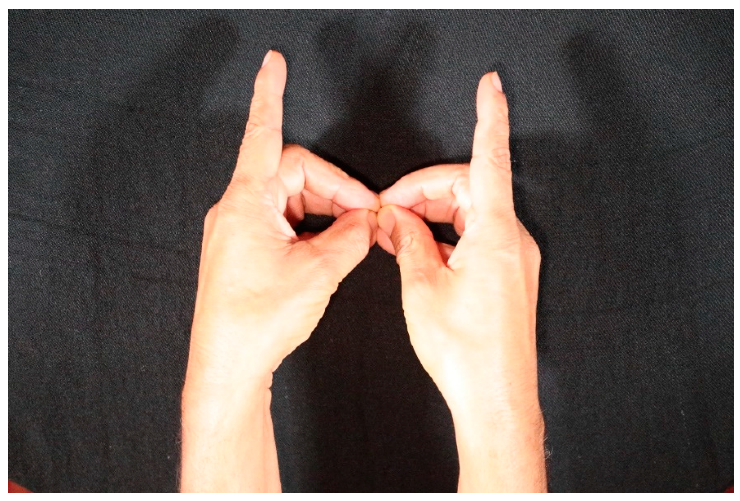 Religions 12 00211 g002 550