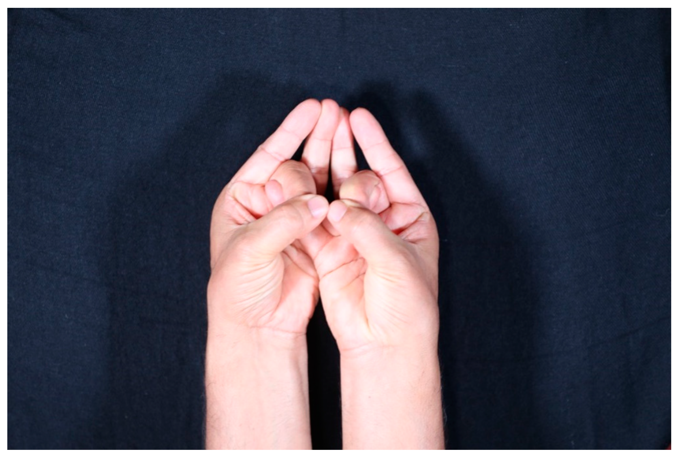 Religions 12 00211 g003 550