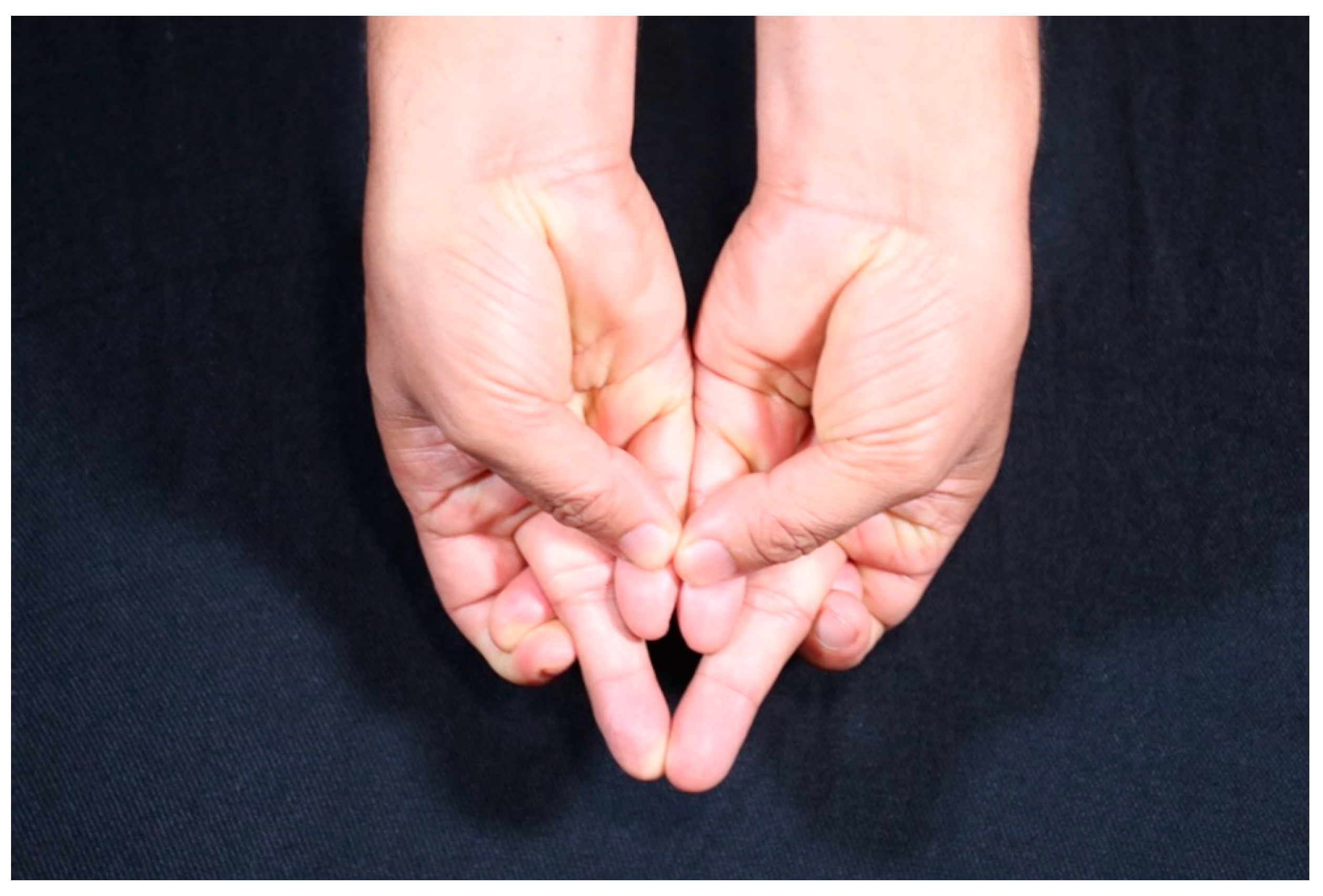 Religions 12 00211 g005 550