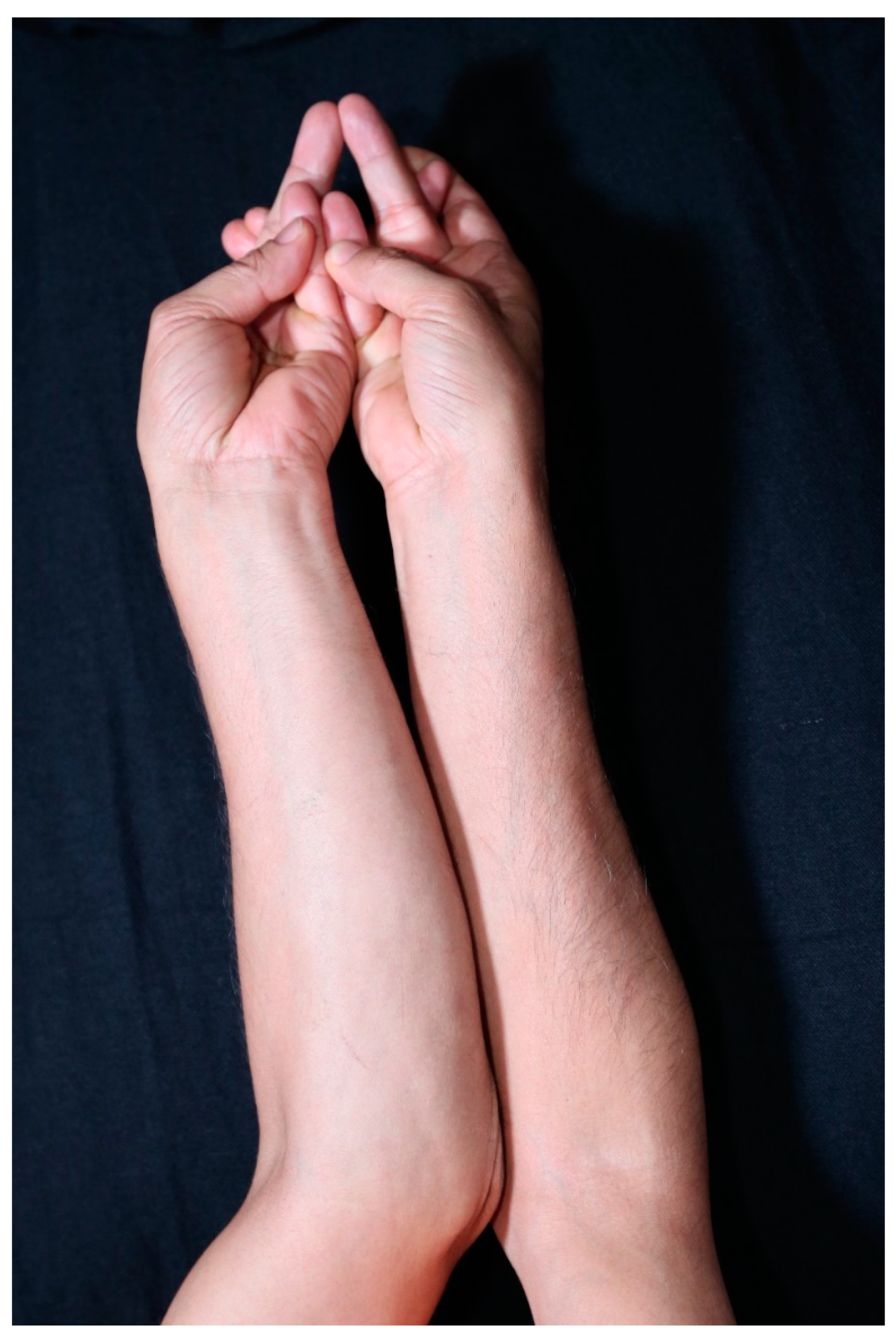 Religions 12 00211 g008 550