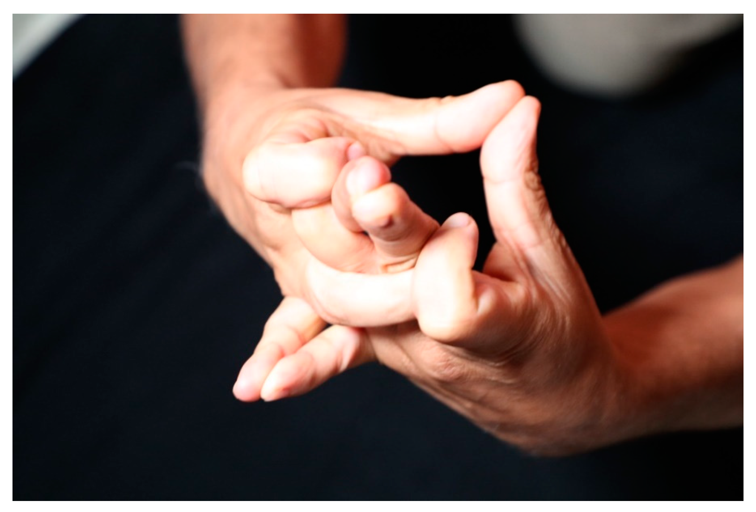 Religions 12 00211 g010 550