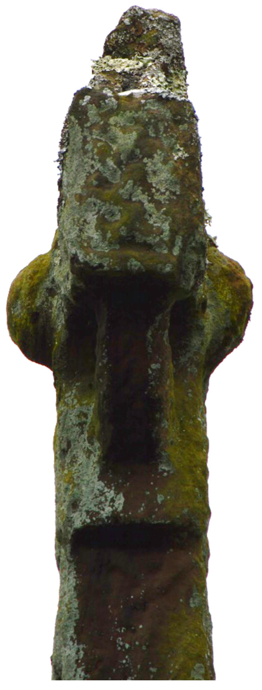 Religions 12 00228 g004 550