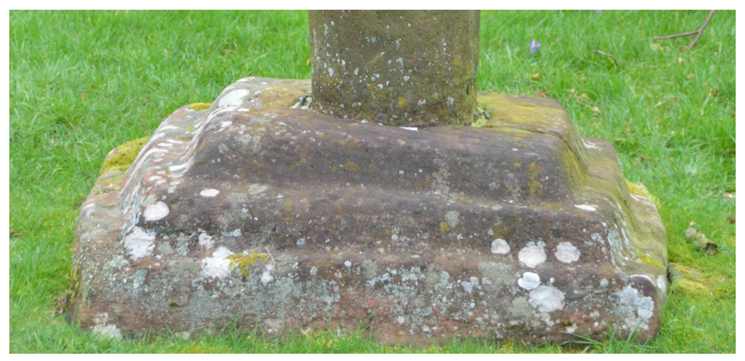 Religions 12 00228 g005 550