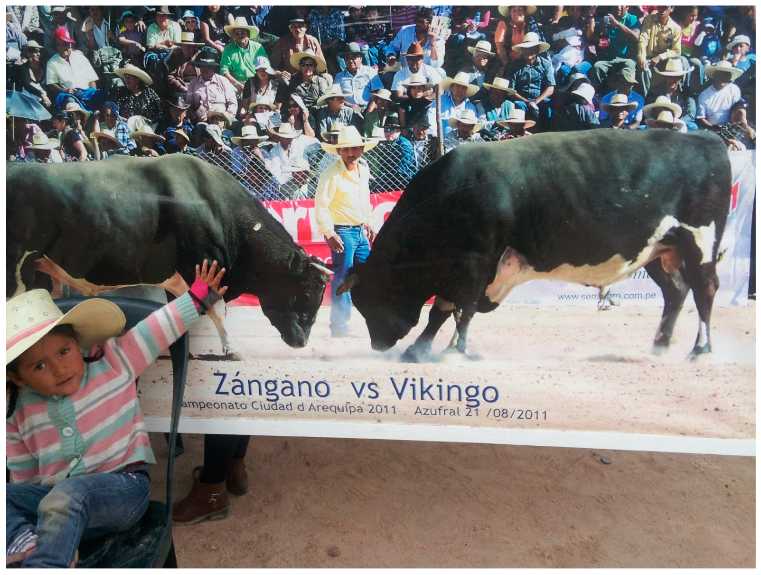 Religions 12 00246 g006