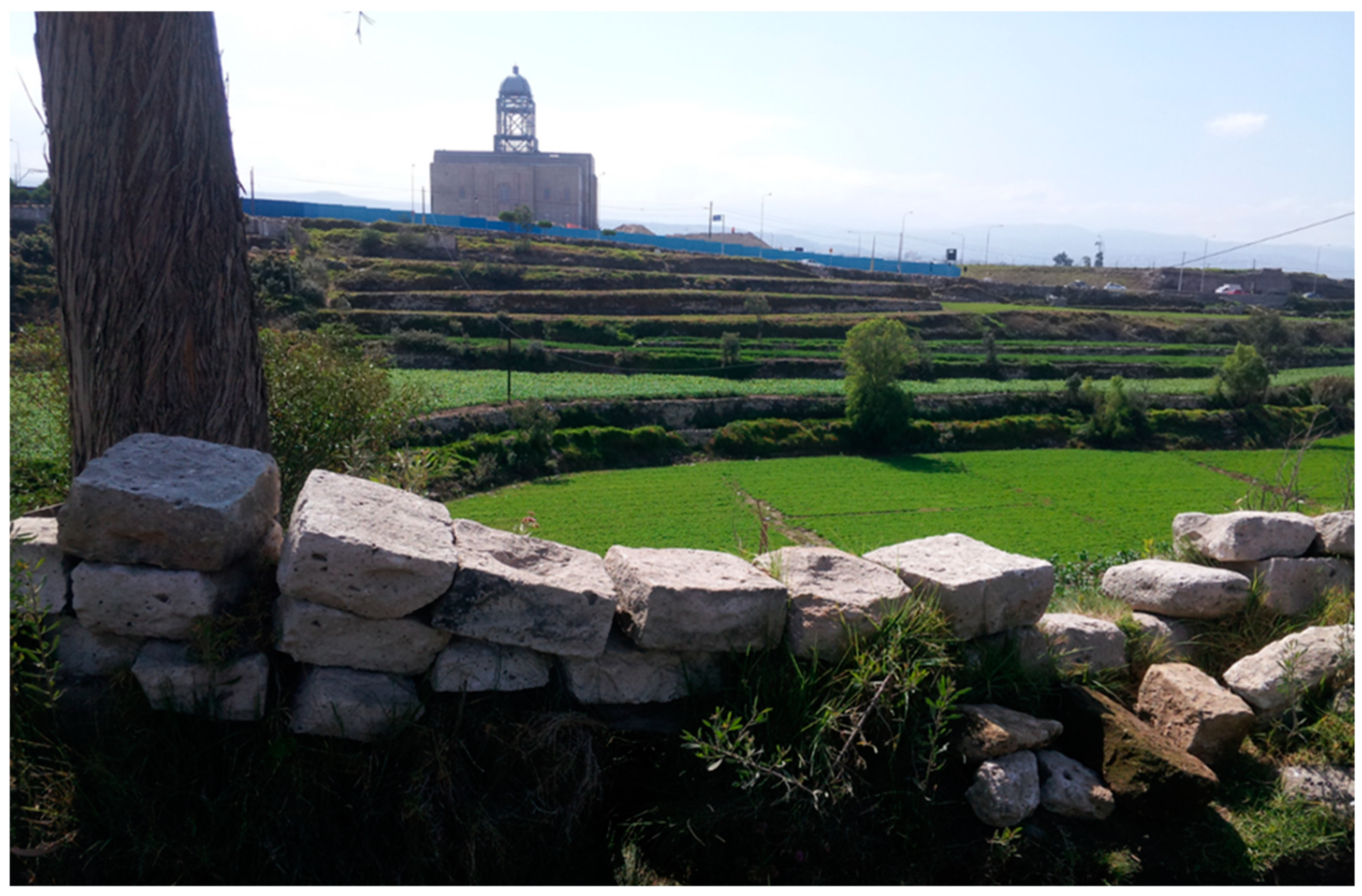 Religions 12 00246 g007