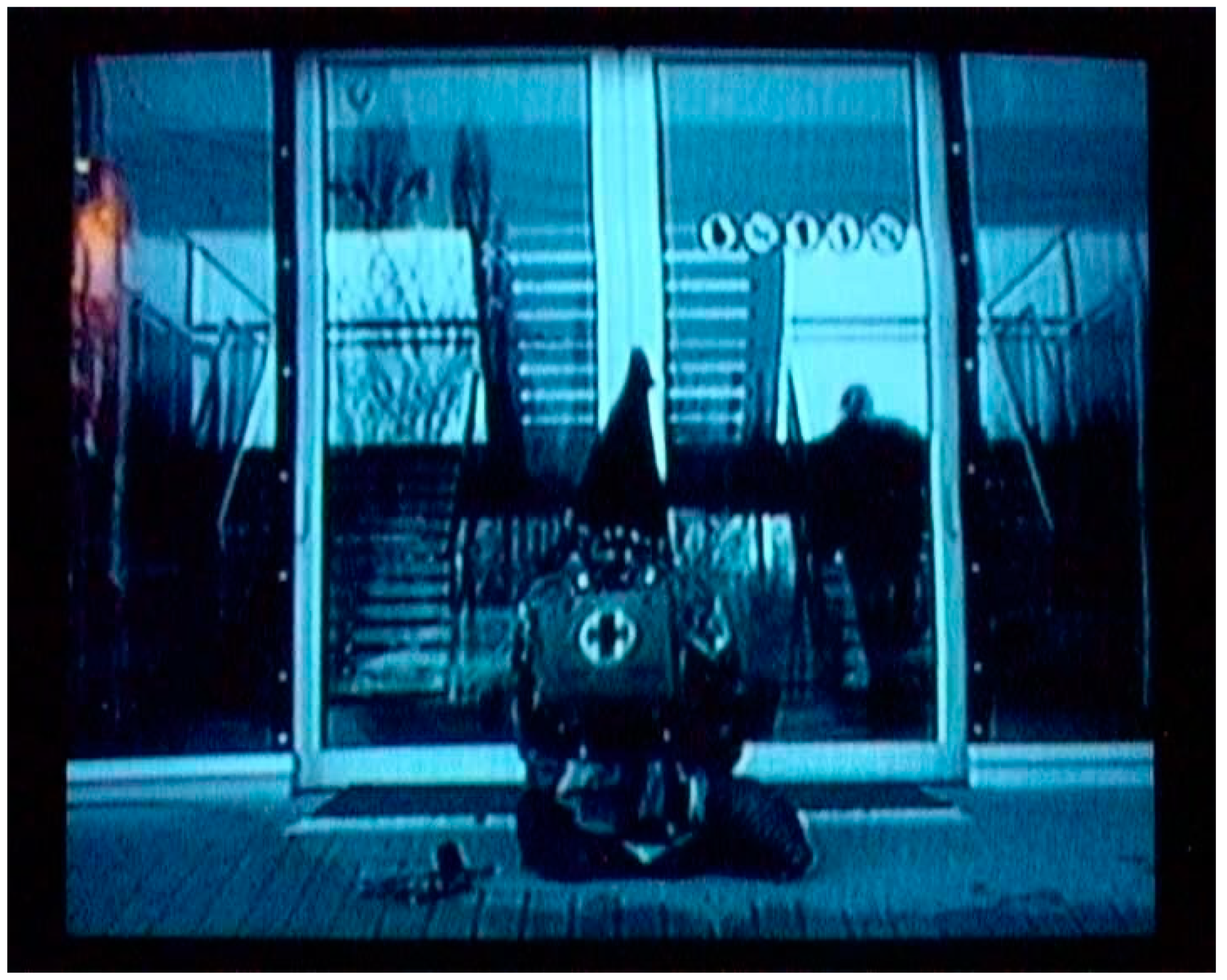 Religions 12 00300 g006