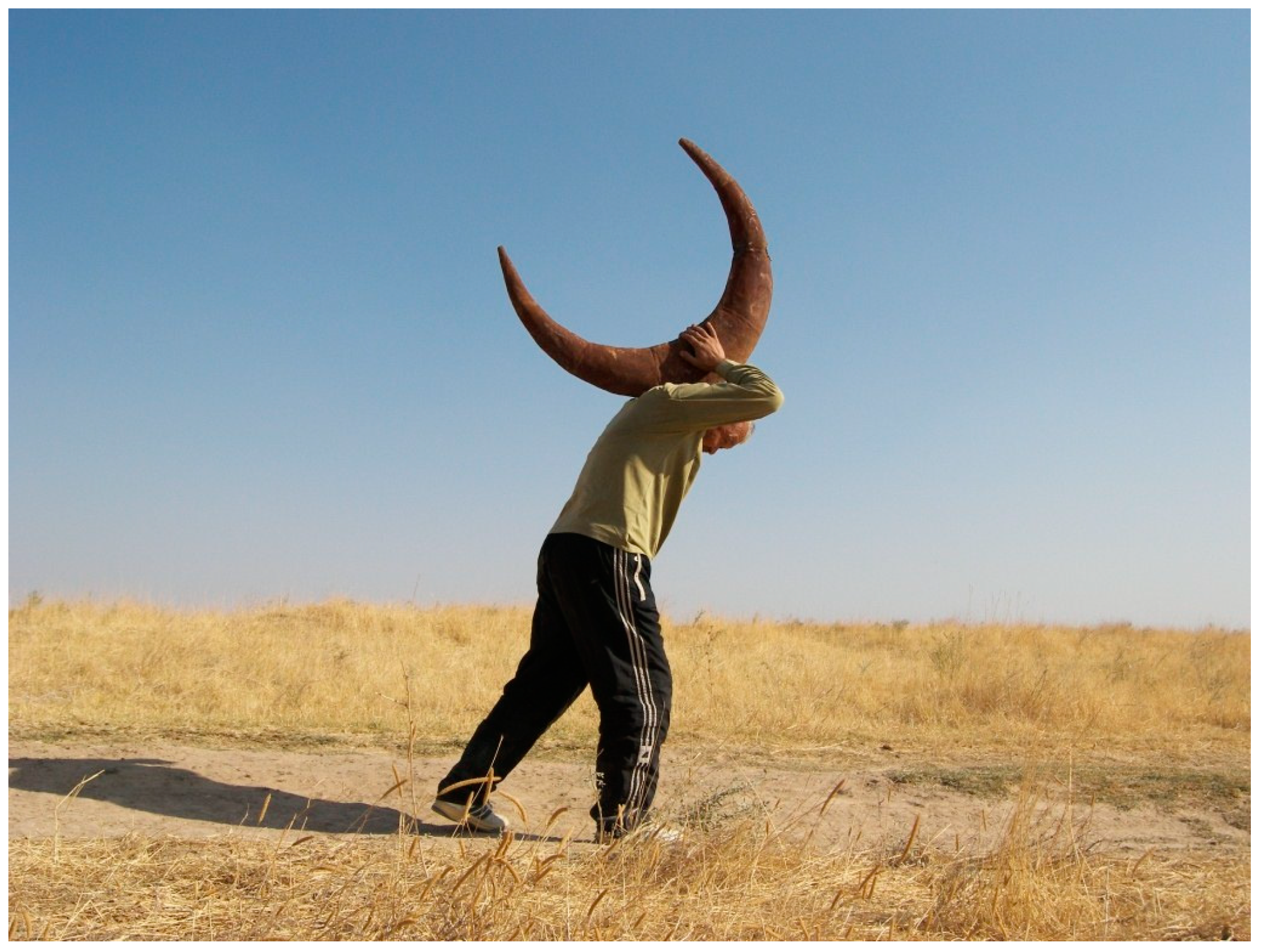 Religions 12 00300 g011