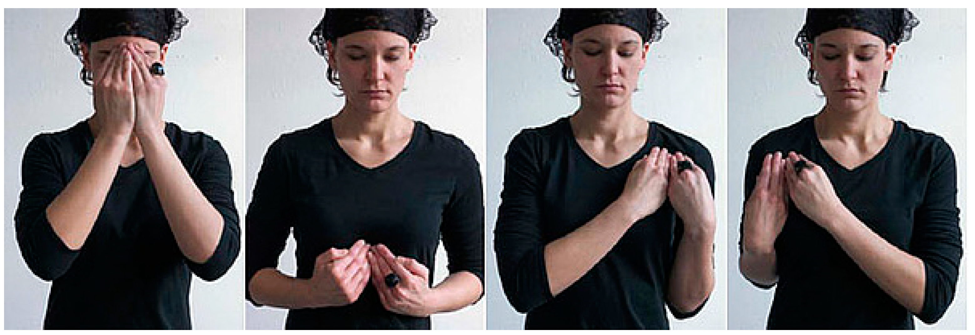 Religions 12 00300 g012