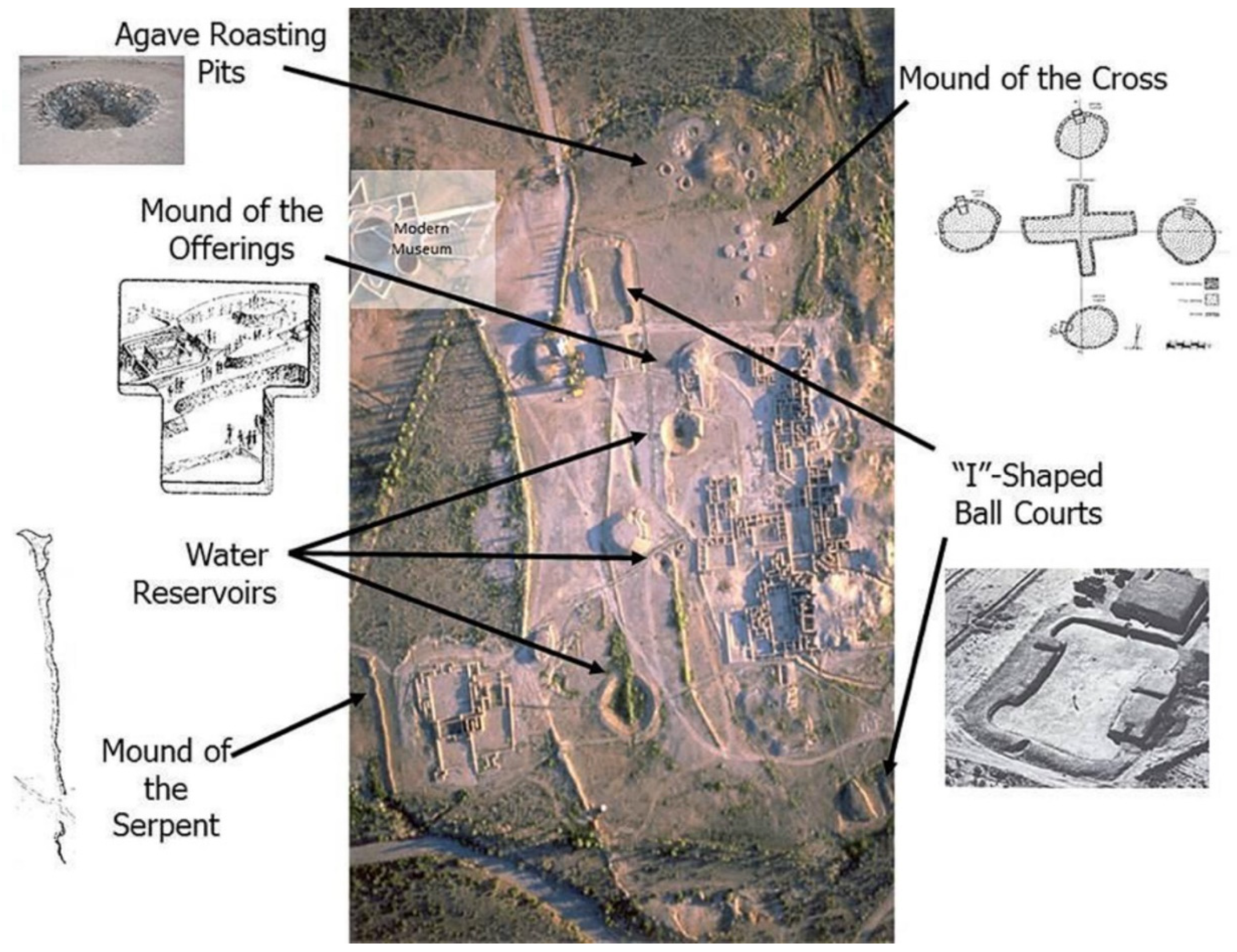 Religions 12 00315 g002 550