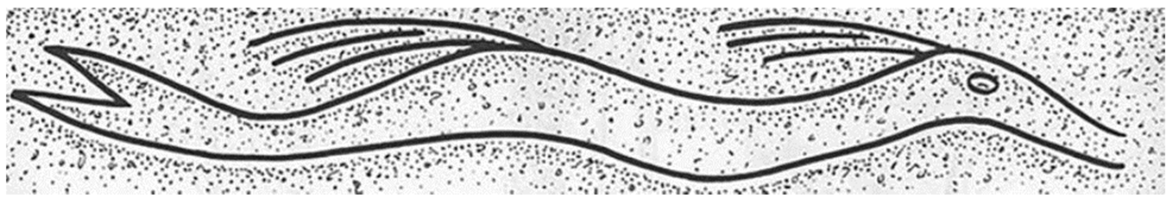 Religions 12 00315 g006 550