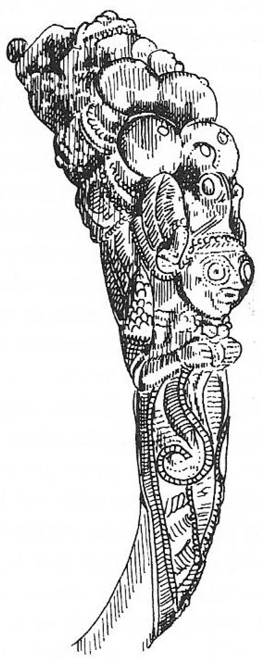 Religions 12 00351 g003