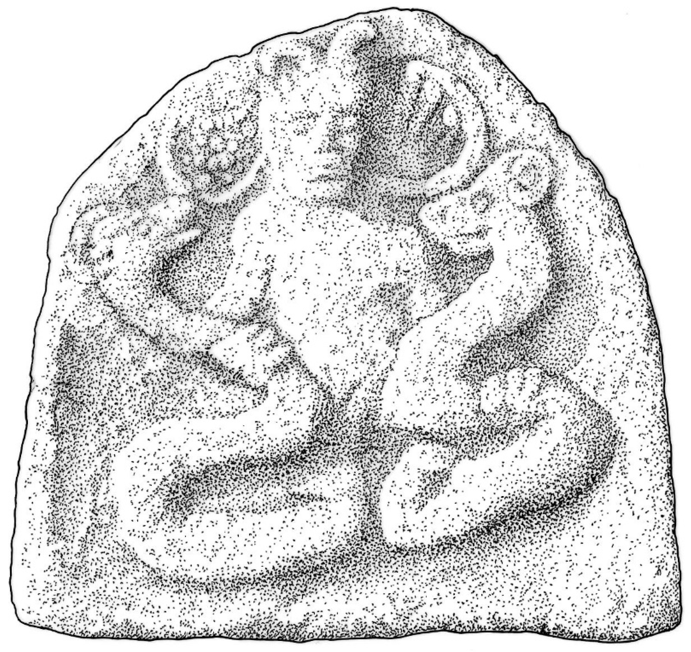 Religions 12 00351 g006