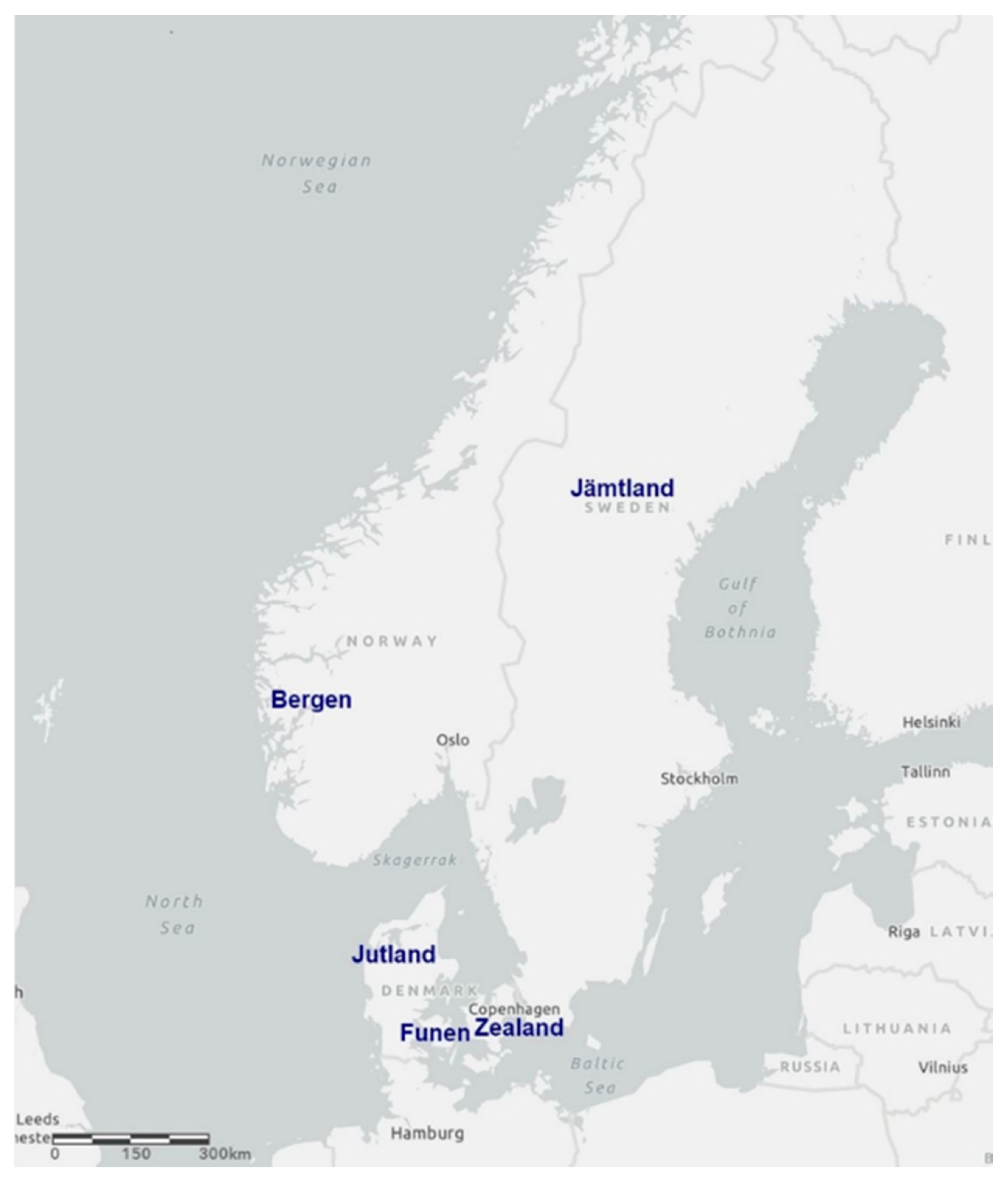 Religions 12 00428 g002