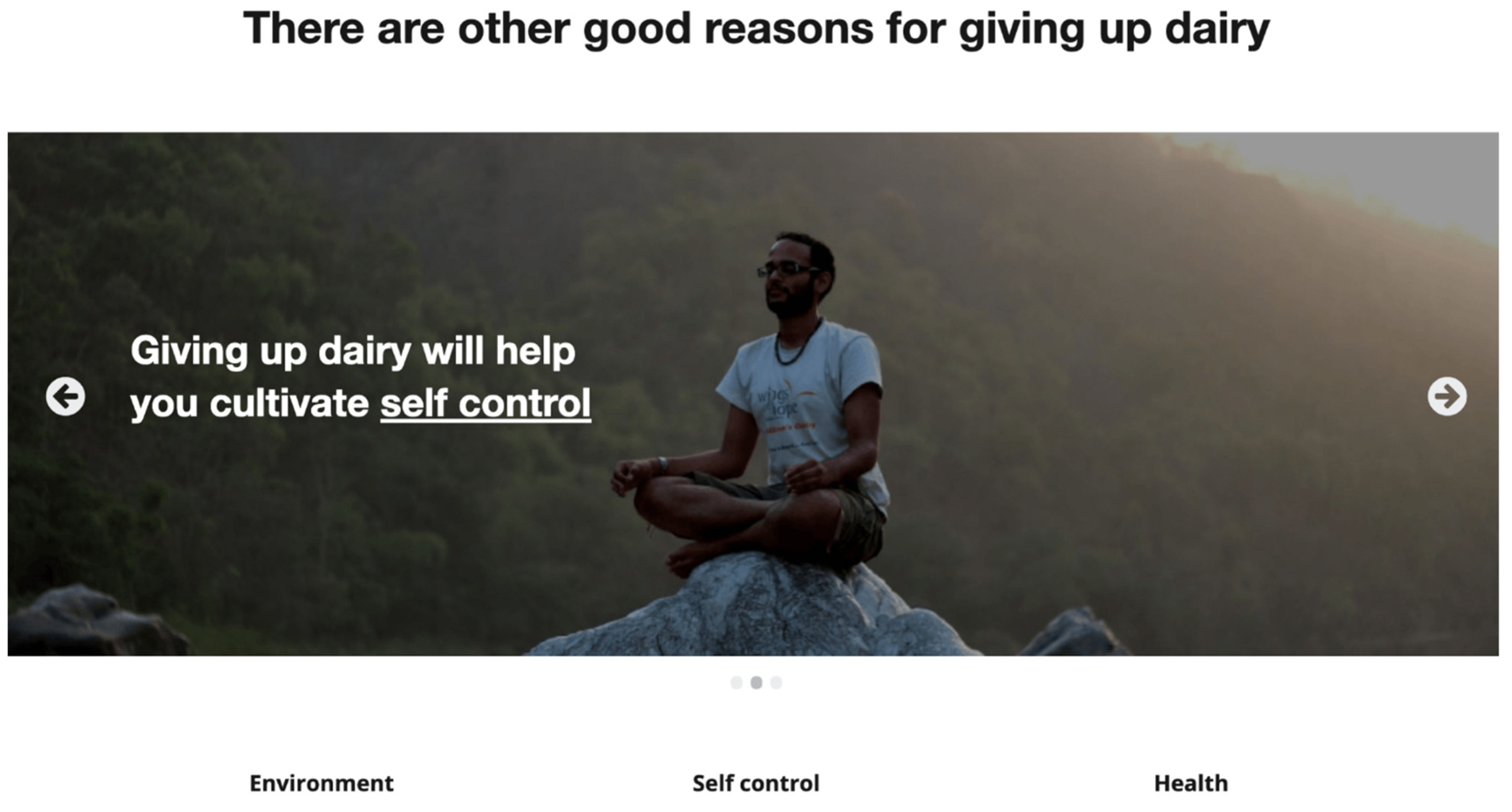 Religions 12 00512 g001 550