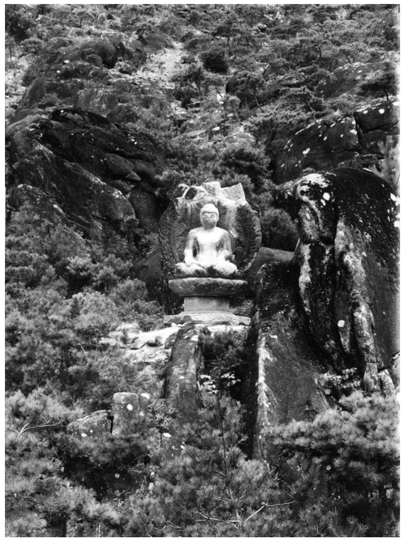 Religions 12 00551 g005 550