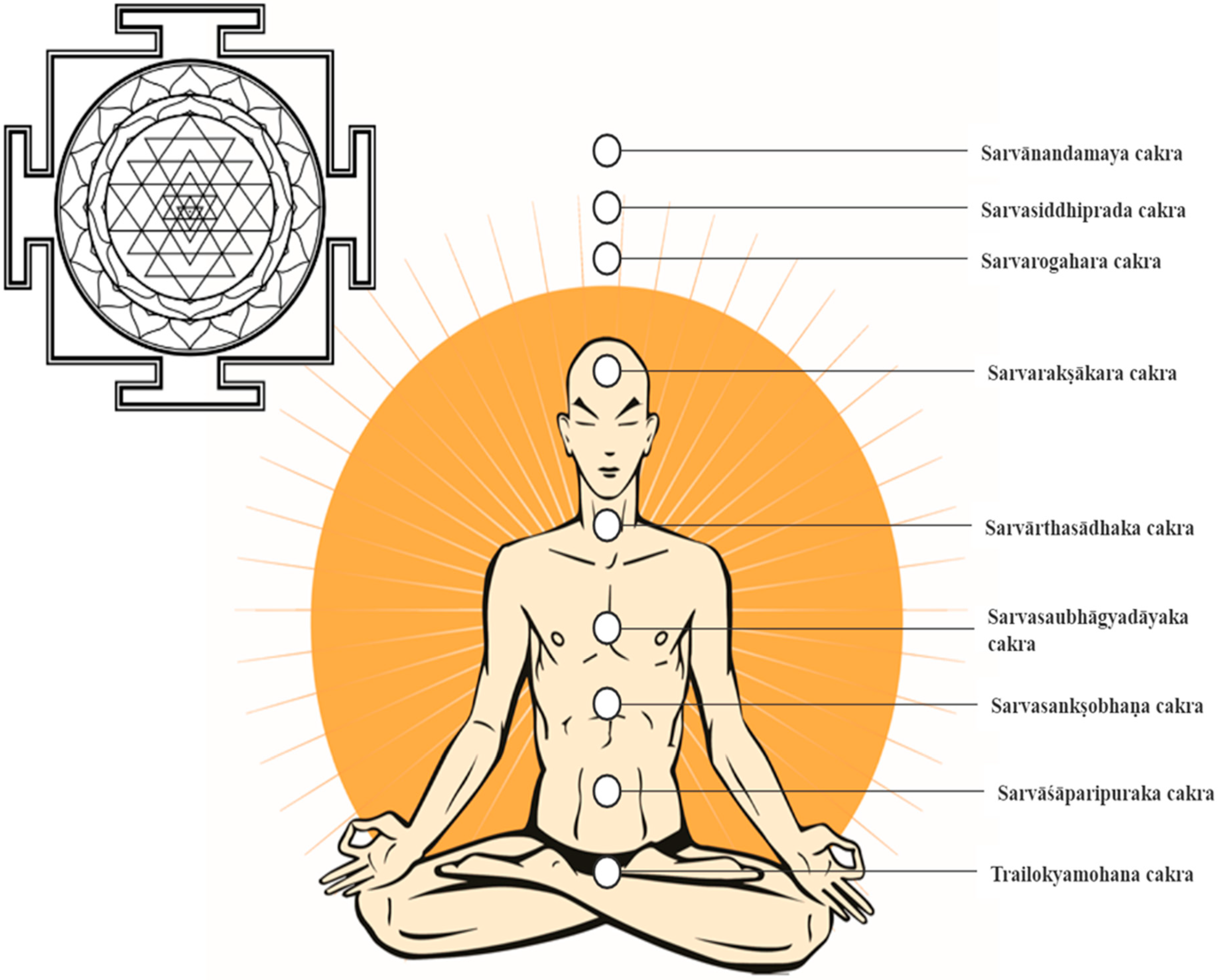 Religions 12 00607 g002