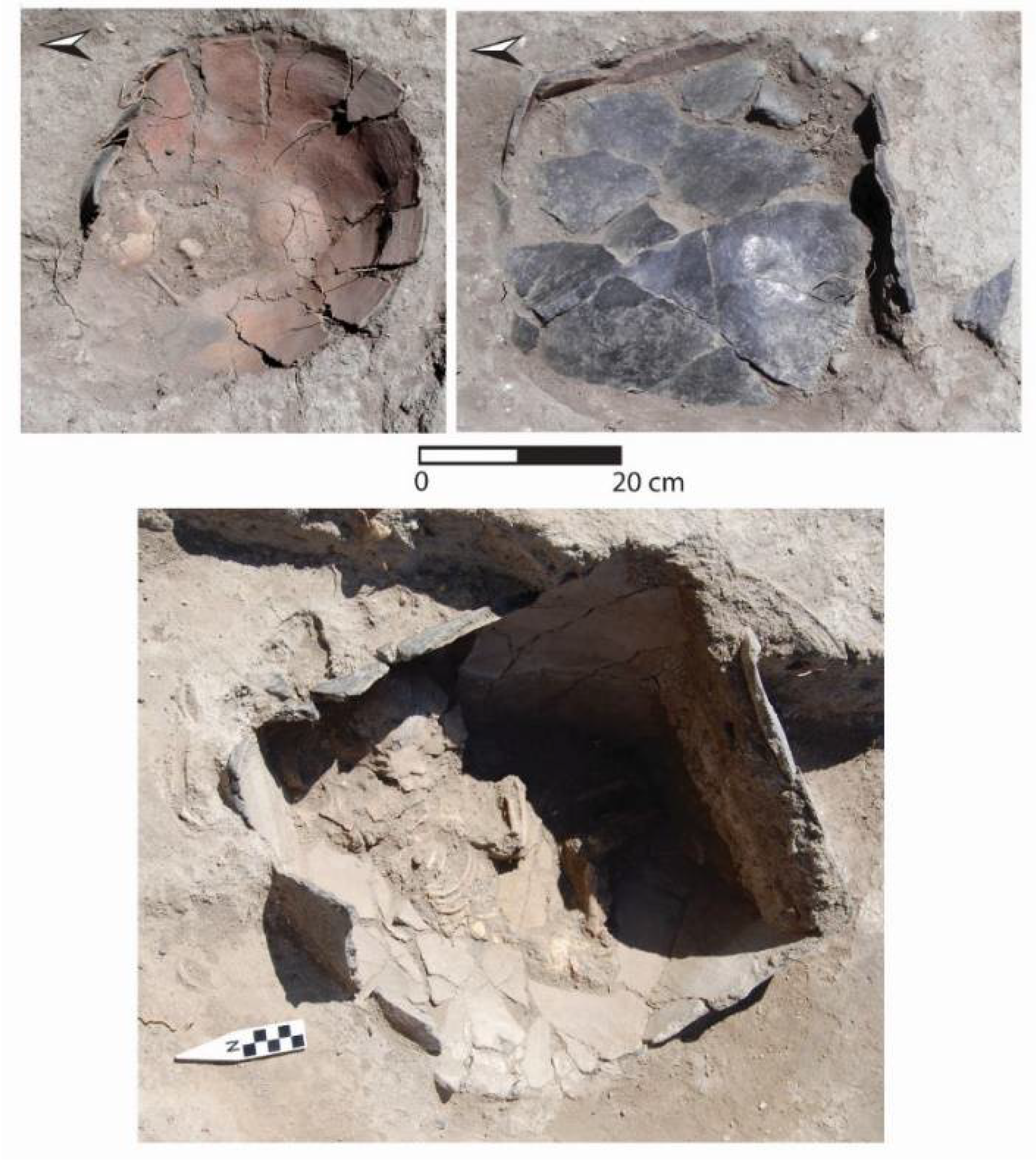 Religions 12 00665 g006 Religions 12 00665 g006