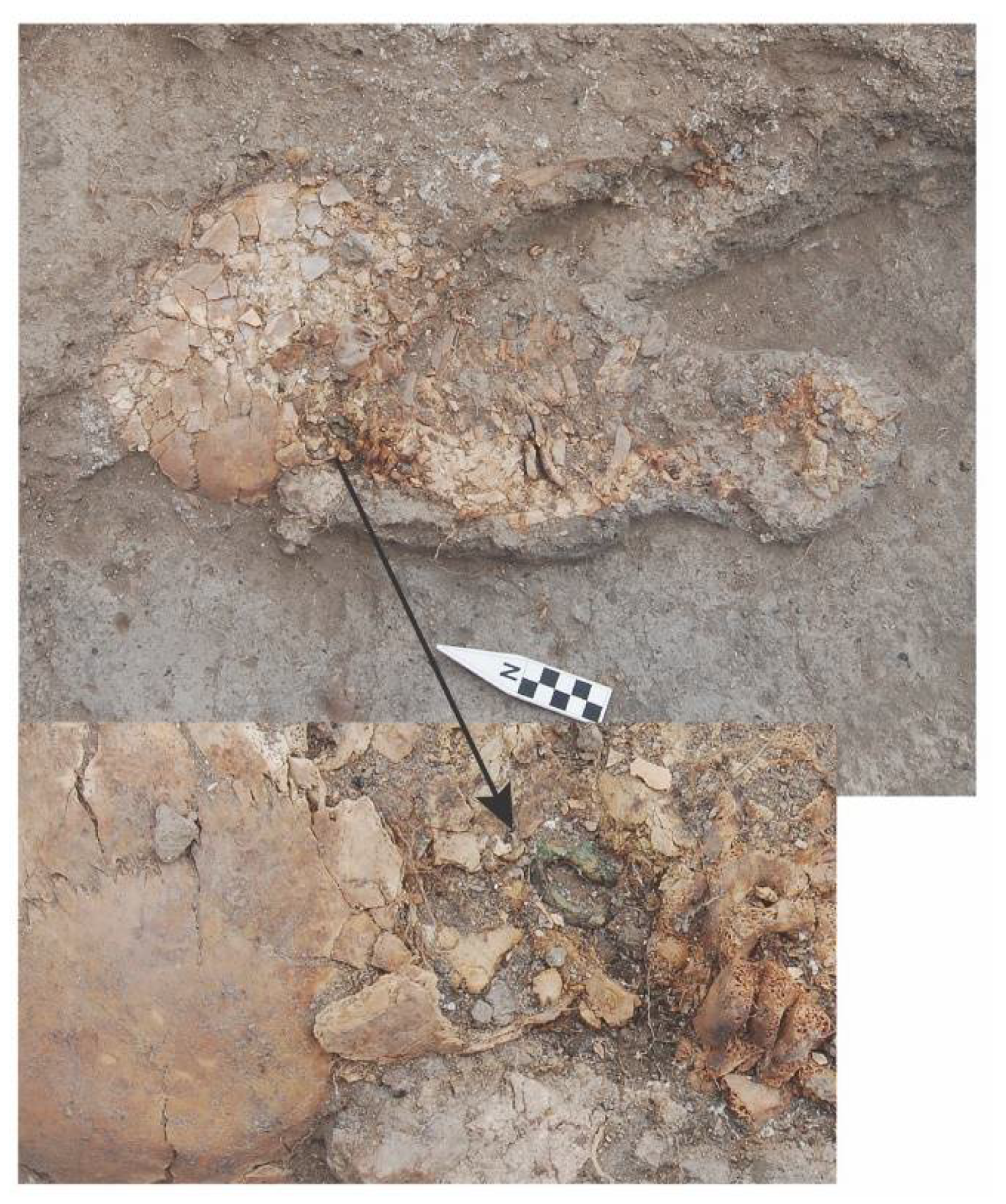 Religions 12 00665 g013 Religions 12 00665 g013