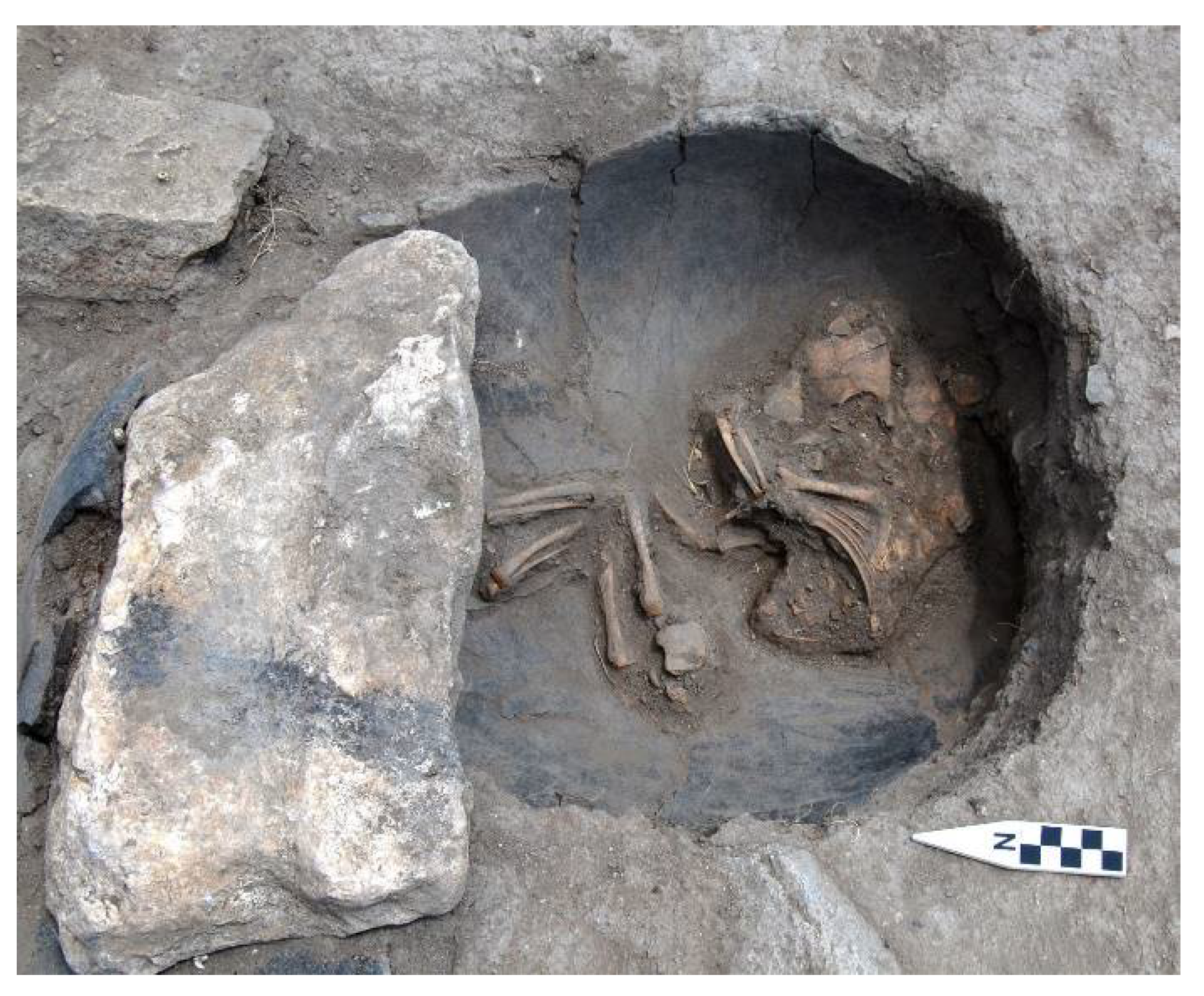 Religions 12 00665 g014 Religions 12 00665 g014