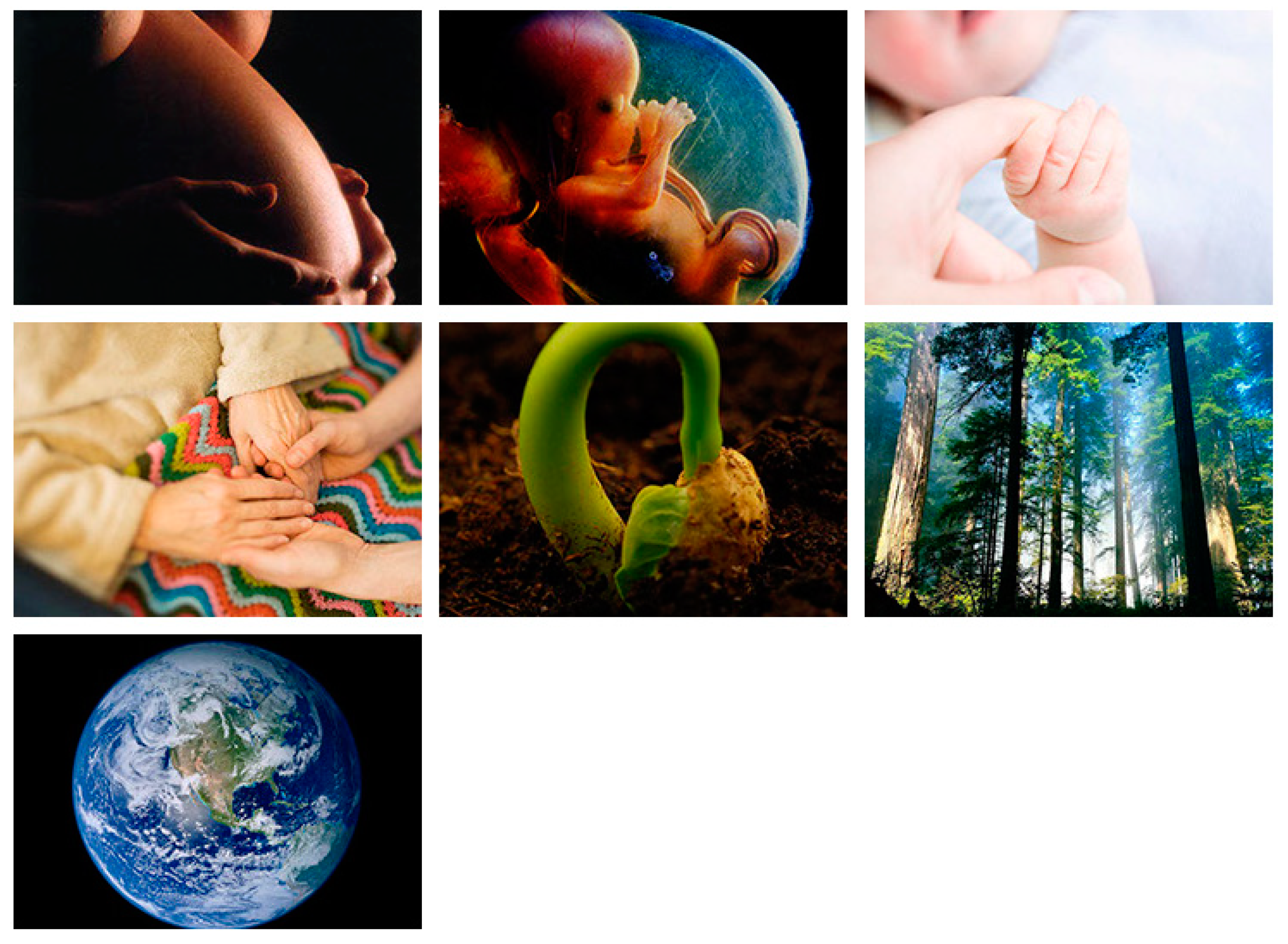 Religions 12 00667 g002