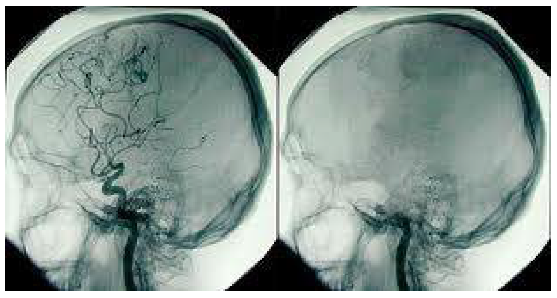 Religions 12 00815 g002 550