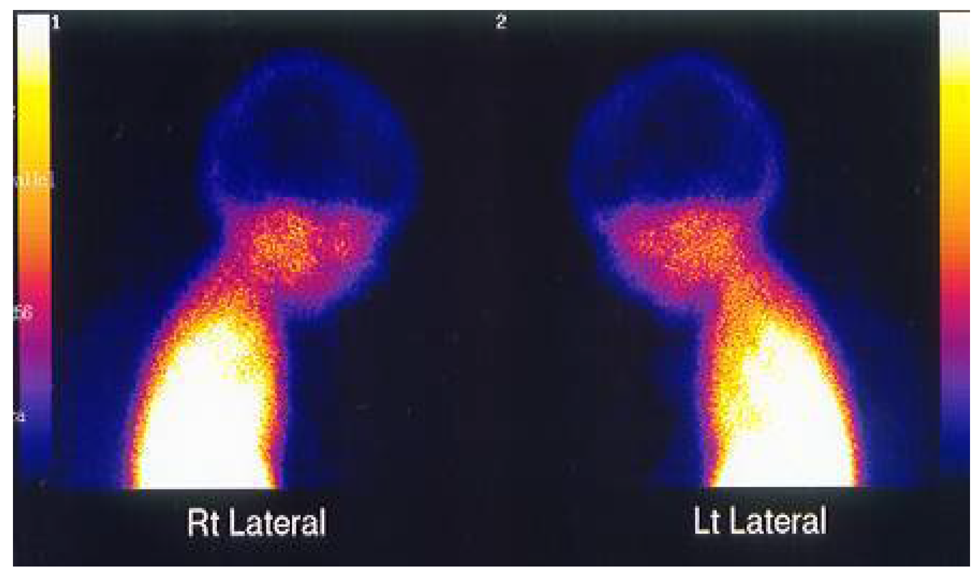 Religions 12 00815 g003 550