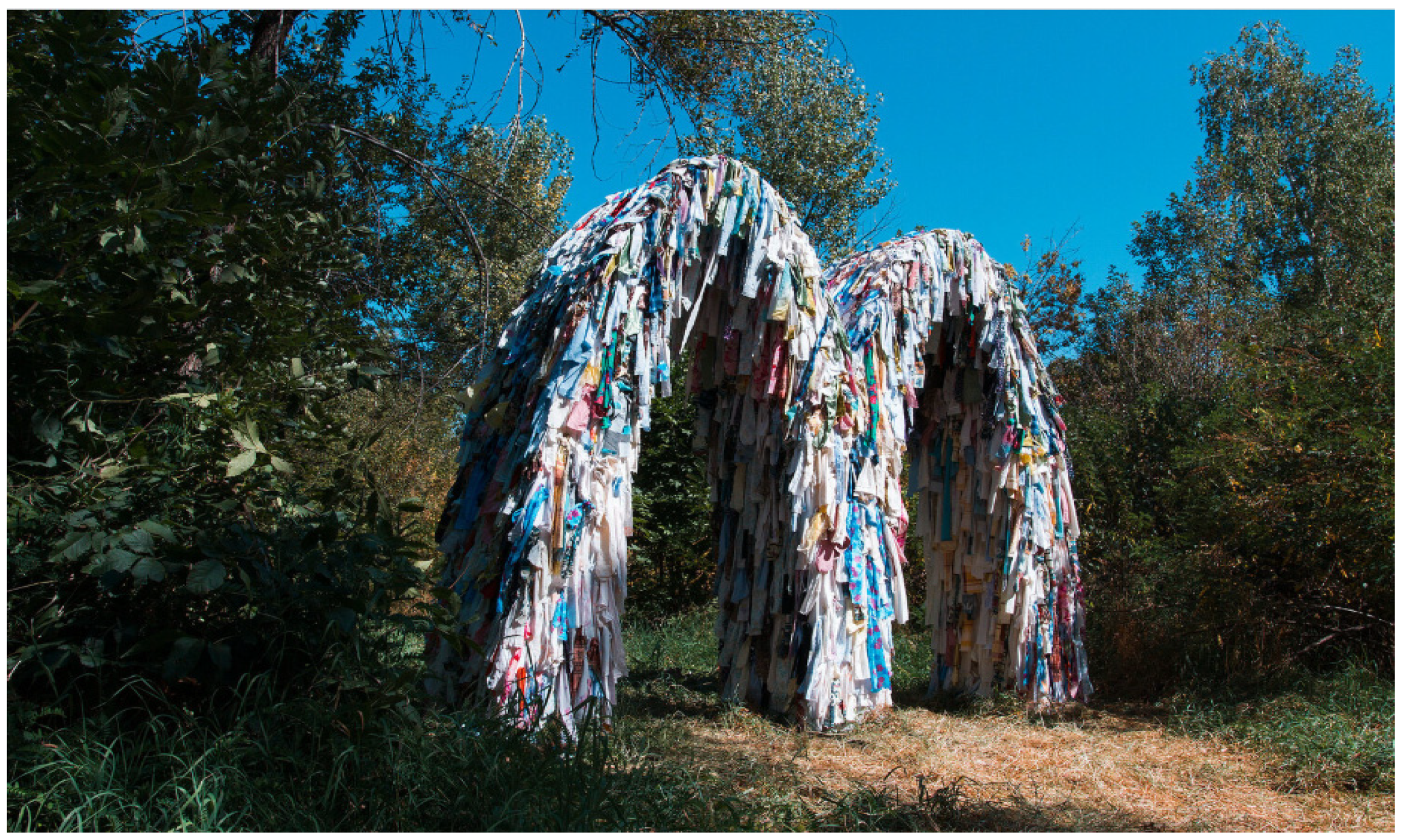 Religions 12 00892 g006