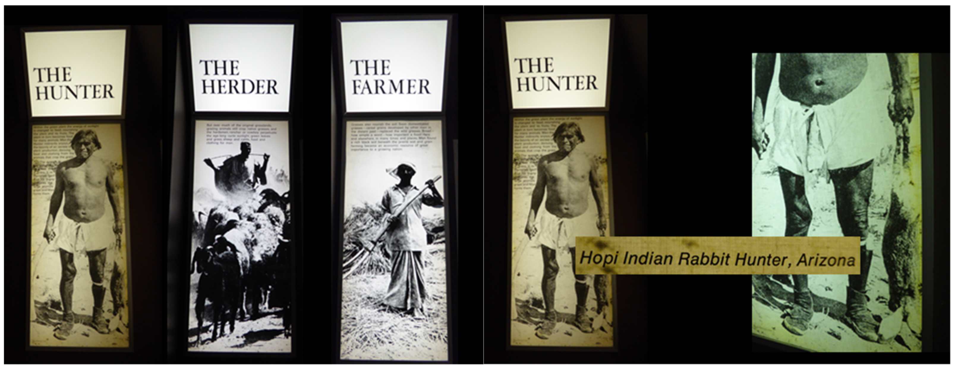 Religions 12 00894 g005 550