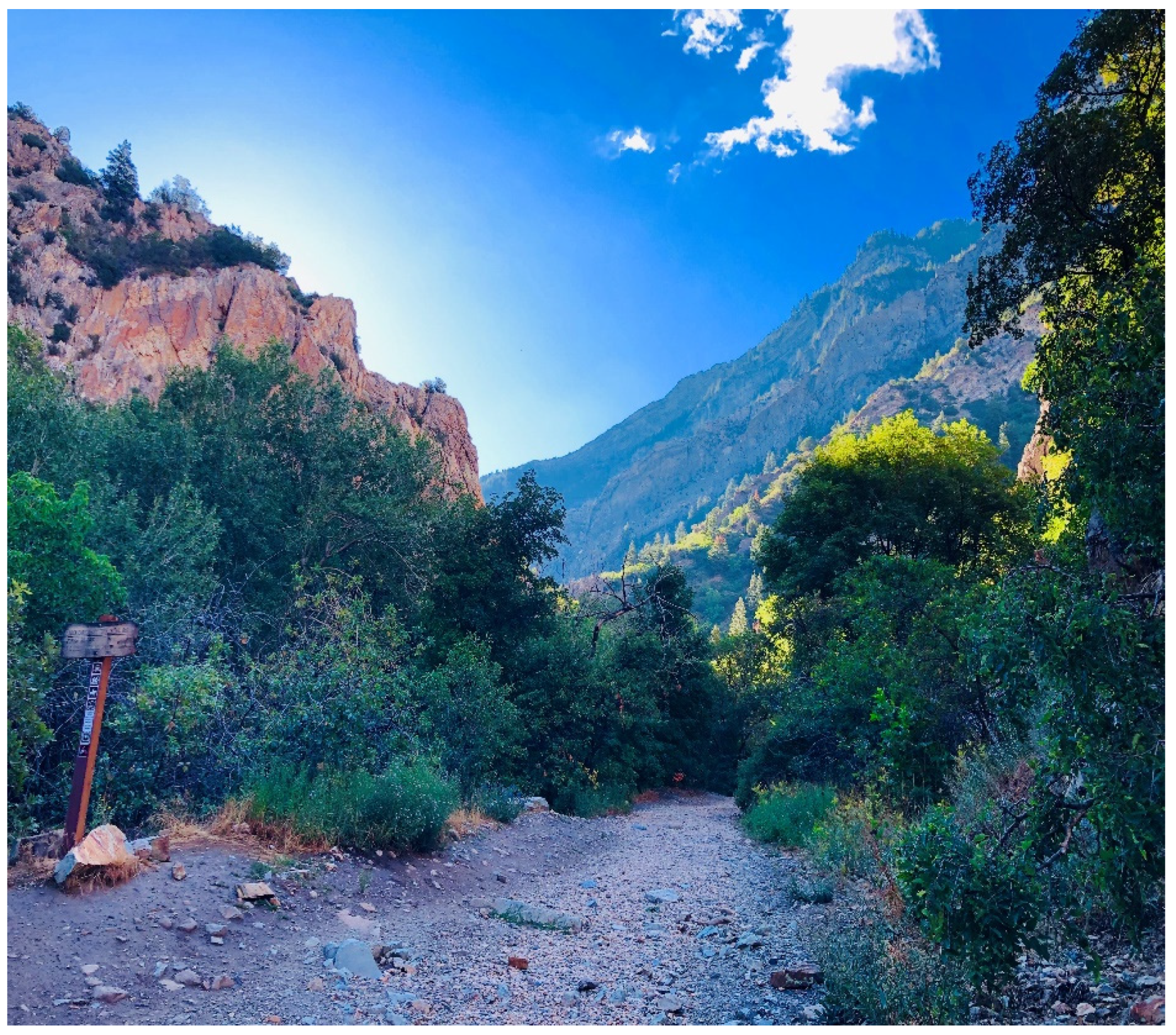 Religions 12 00948 i001