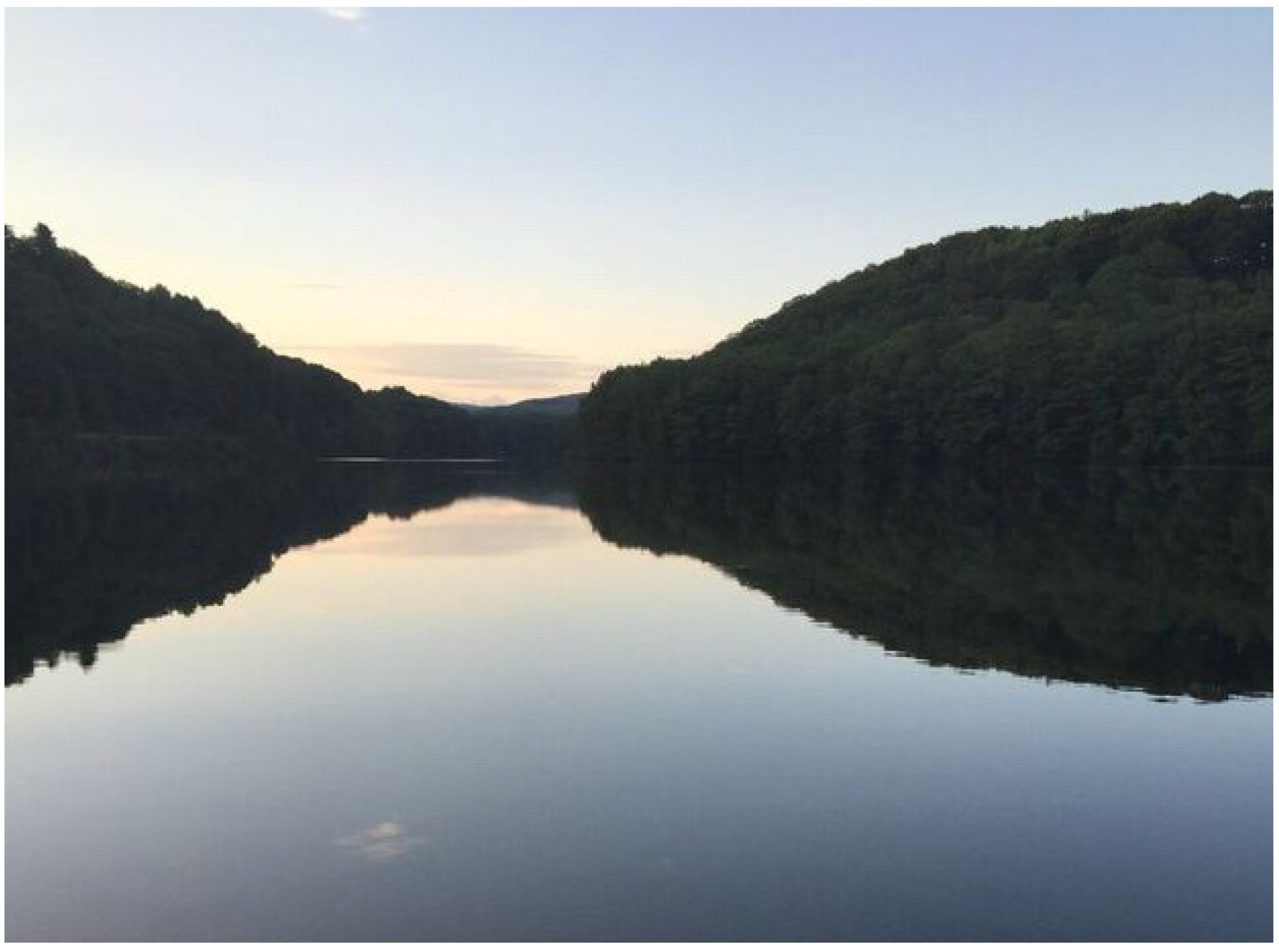 Religions 12 00948 i003