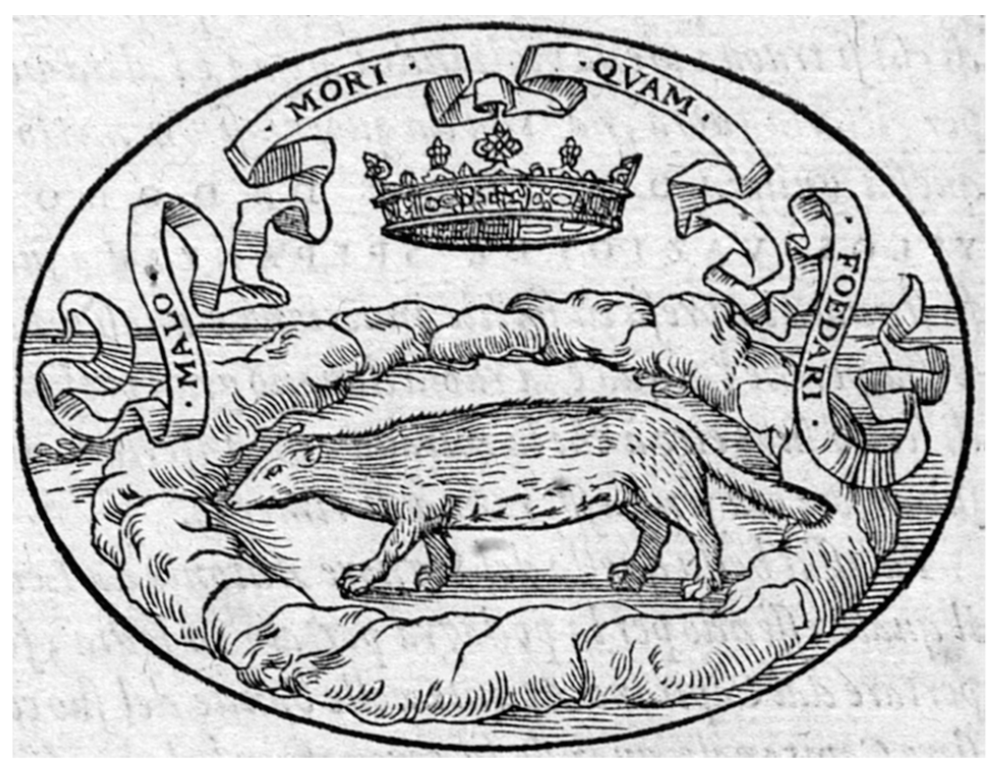 Religions 12 01011 g014