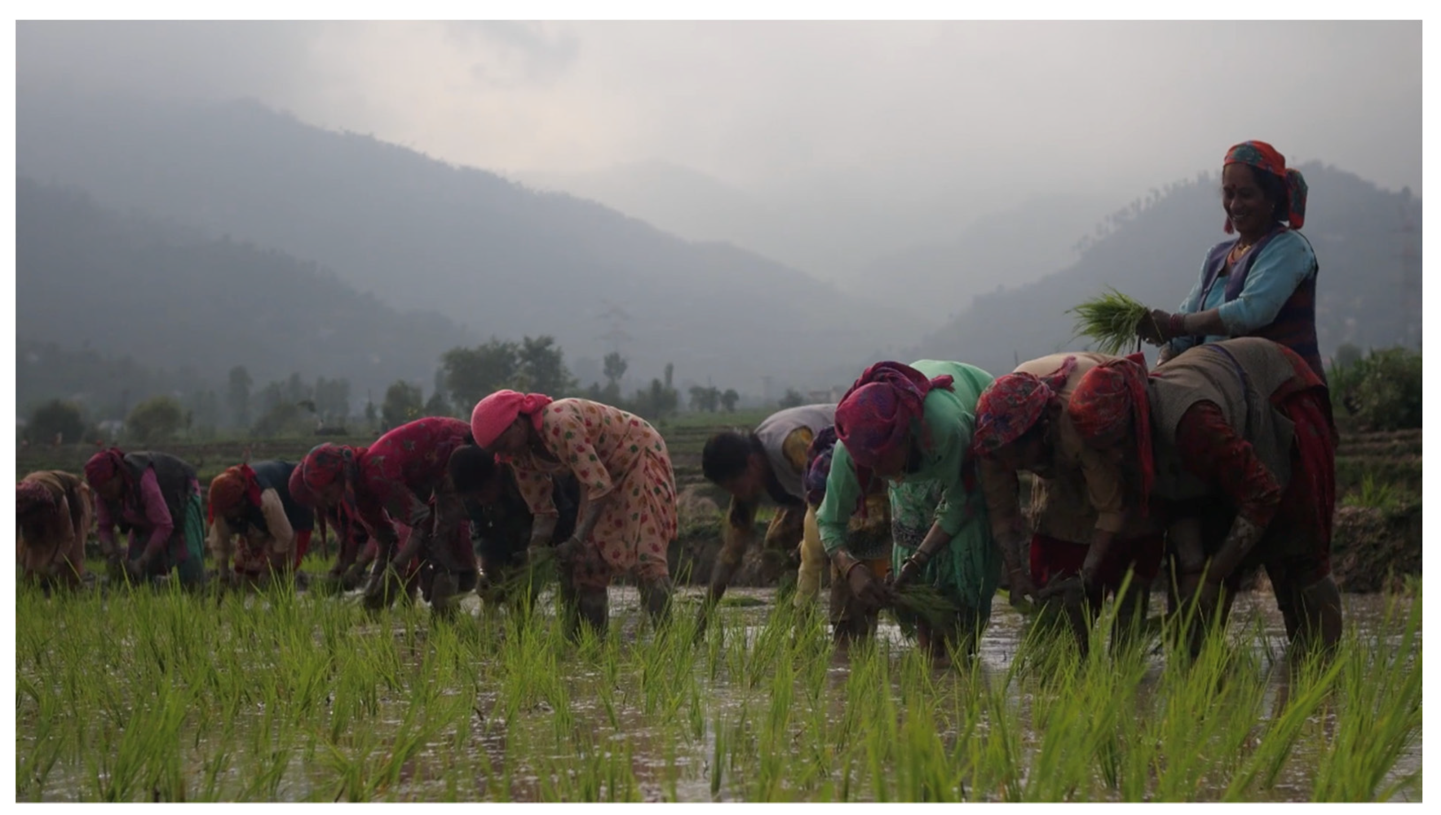 Religions 12 01021 g002 Religions 12 01021 g002