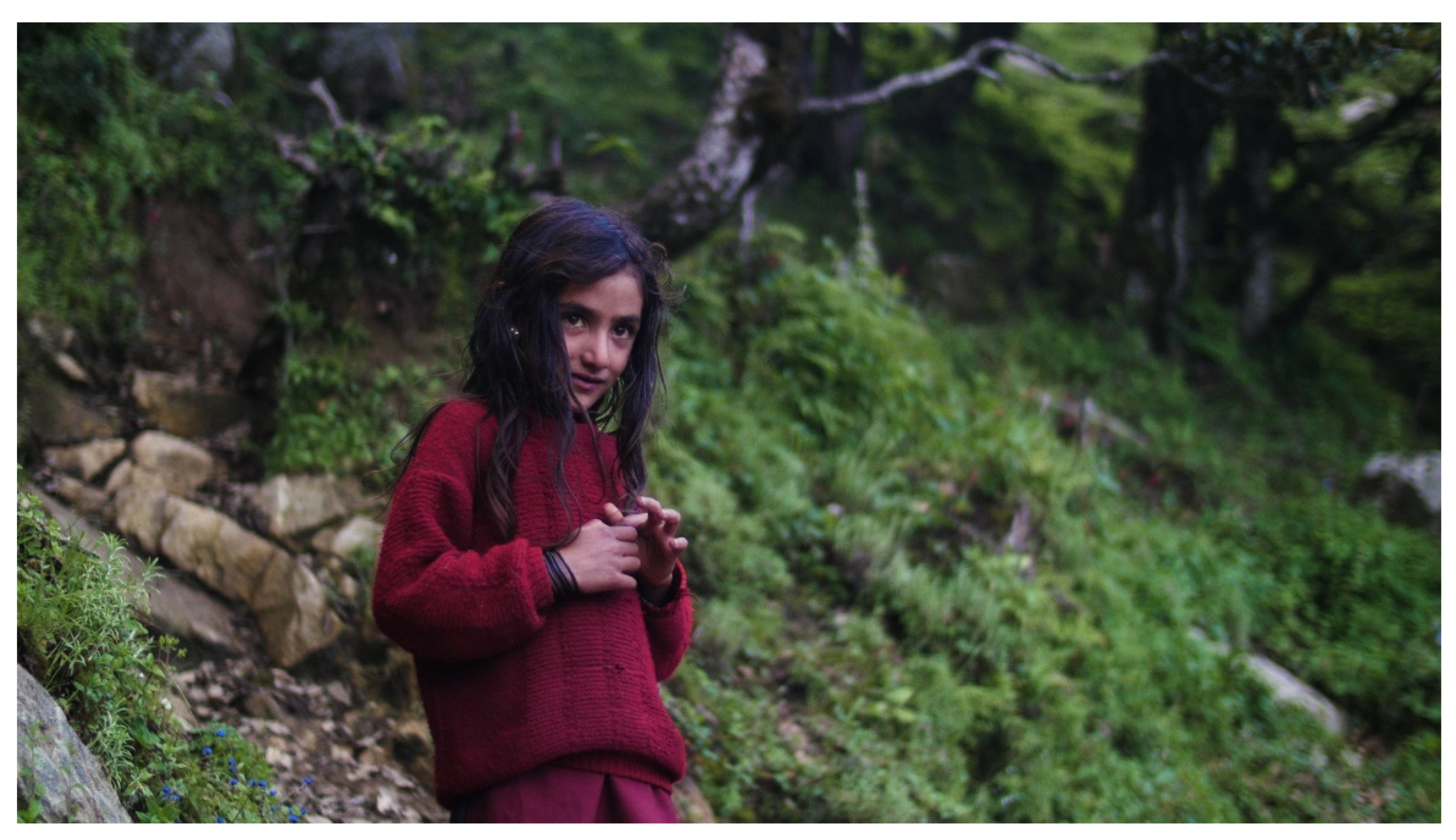 Religions 12 01021 g008 Religions 12 01021 g008