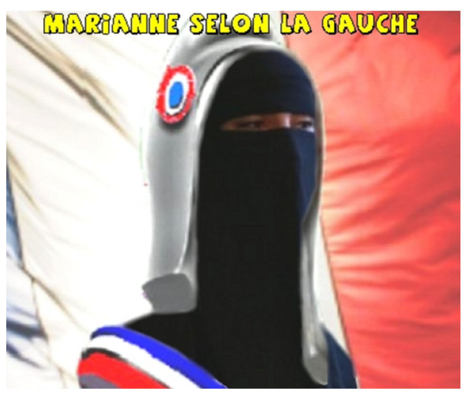 Religions Free Full Text The Terrorist And The Girl Next Door Love Jihad In French Femonationalist Nonfiction Html