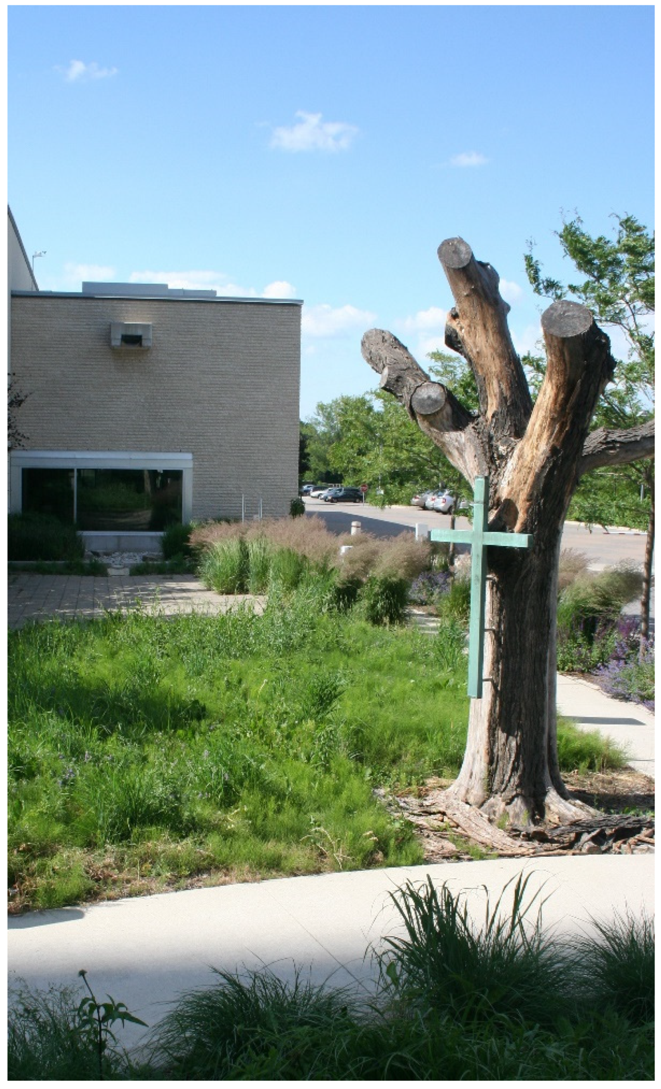 Religions 13 00029 g014 550