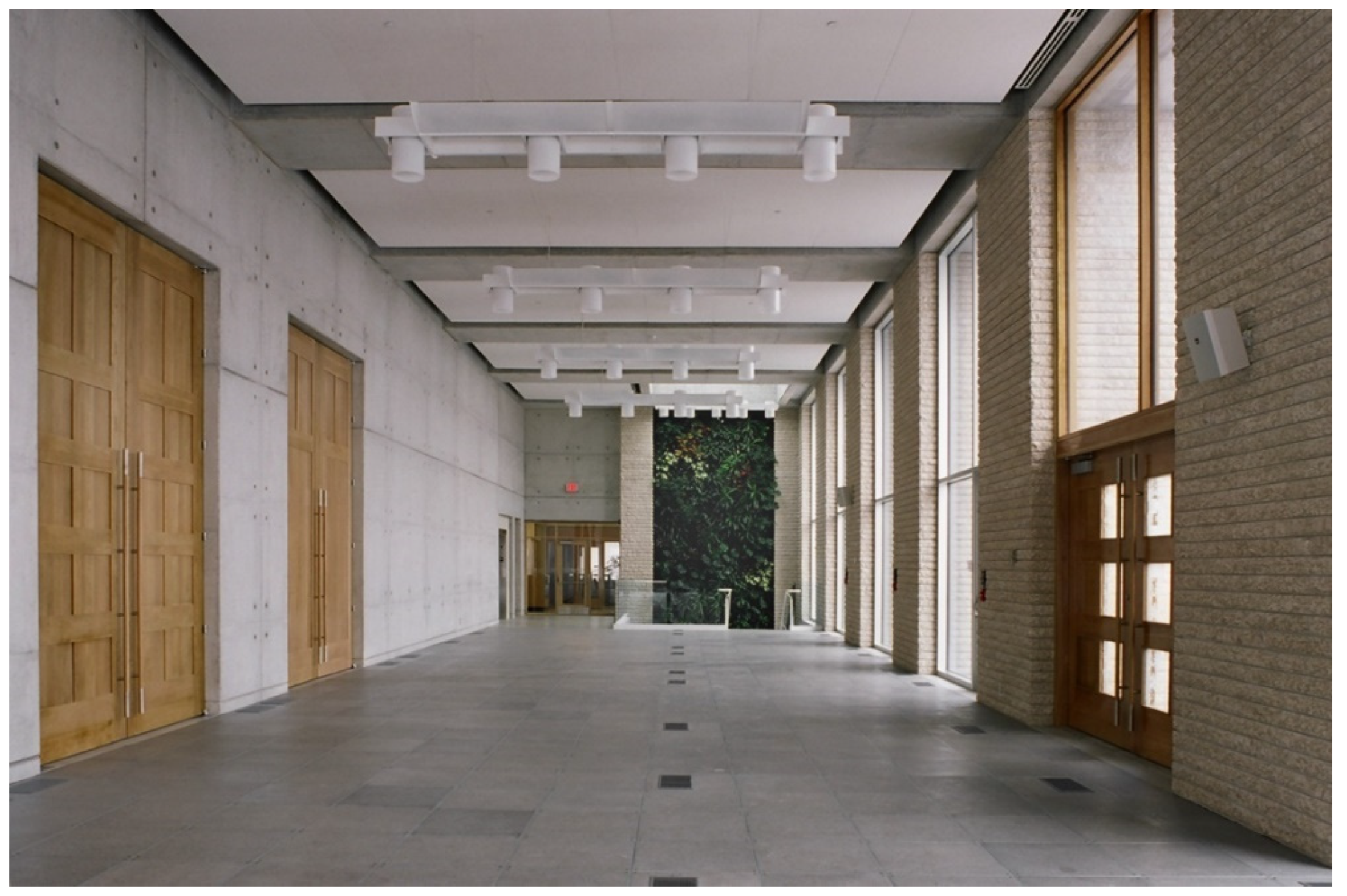 Religions 13 00029 g016 550