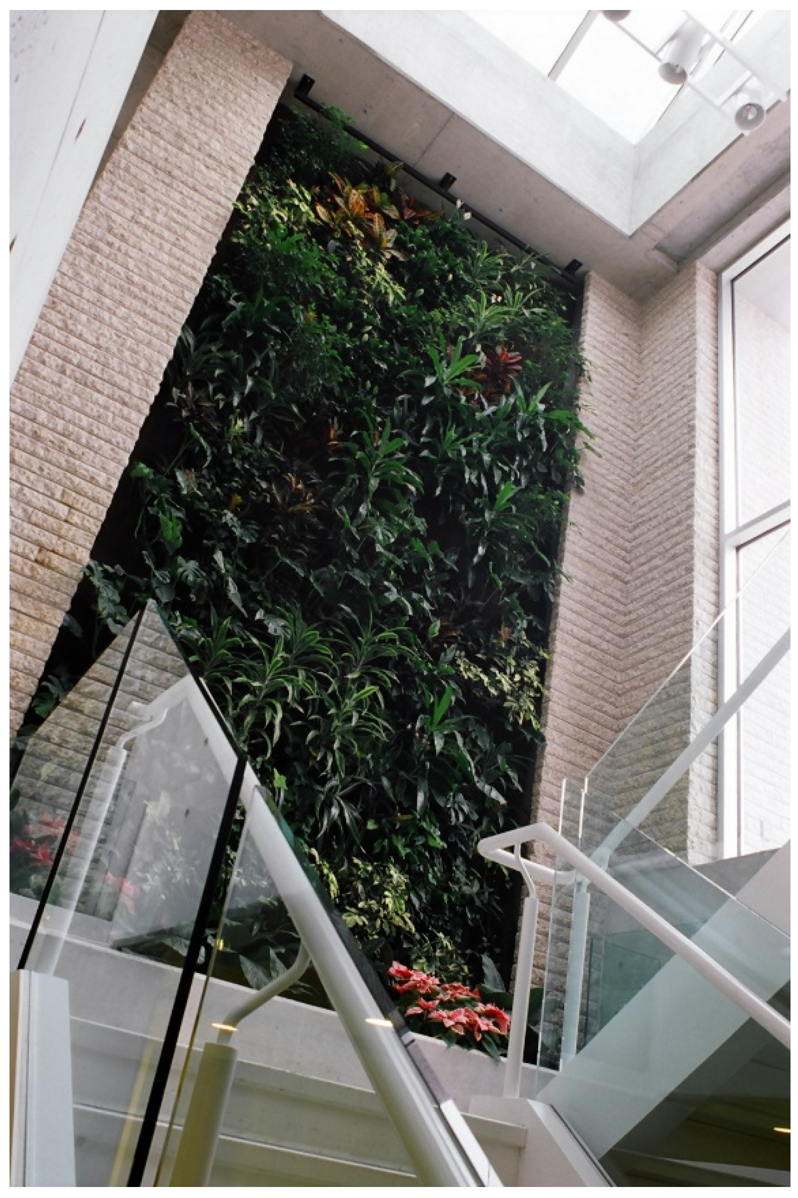 Religions 13 00029 g017 550