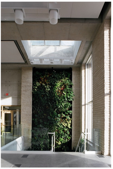 Religioni 13 00029 g018 550