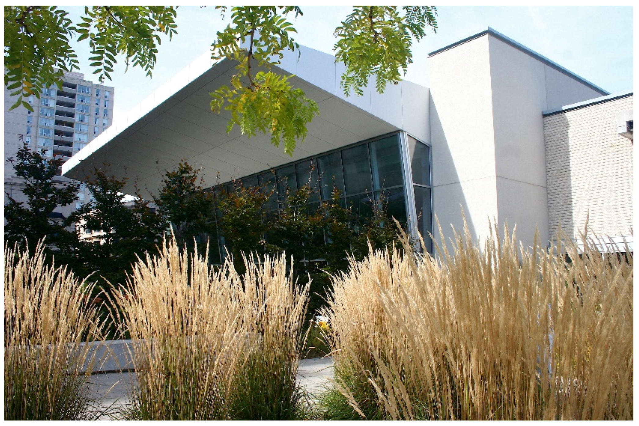 Religions 13 00029 g022 550