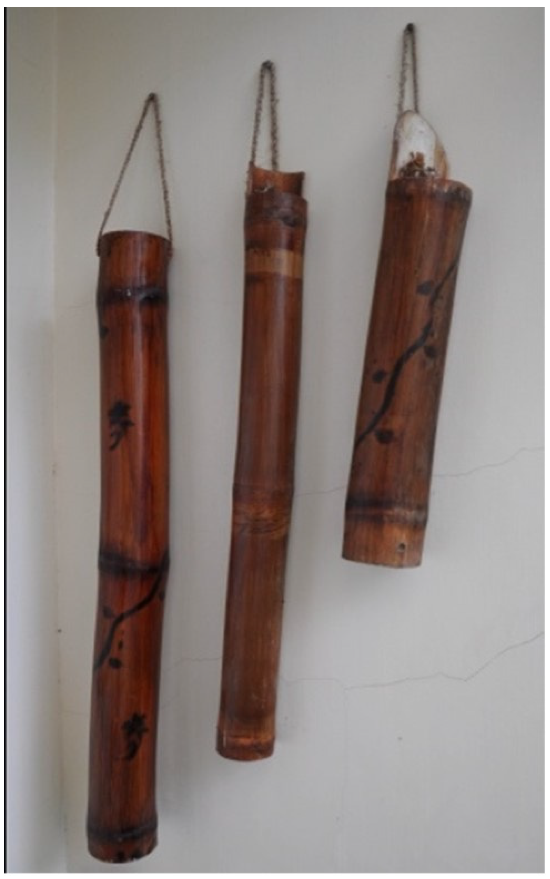 Religions 13 00056 g004 550