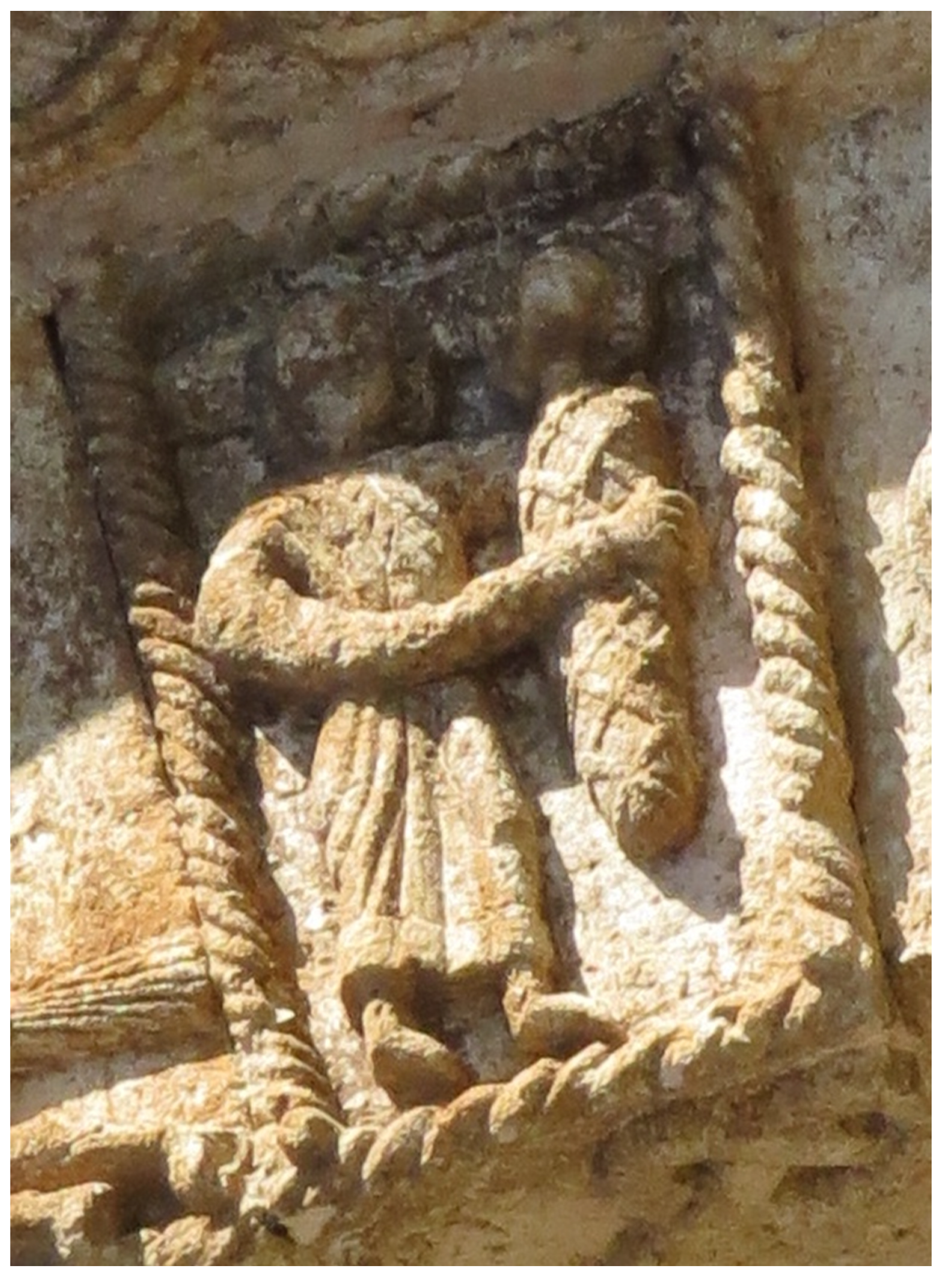 Religions 13 00152 g008