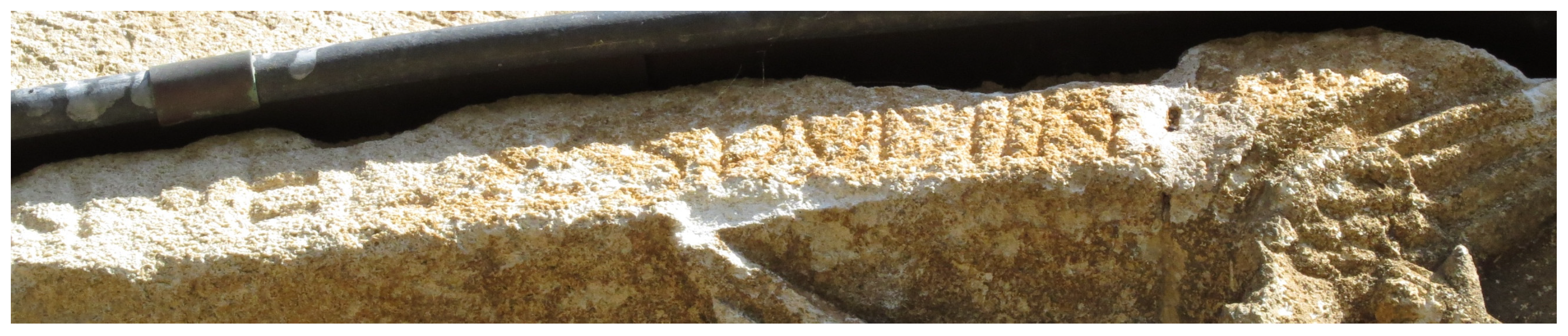 Religions 13 00152 g019