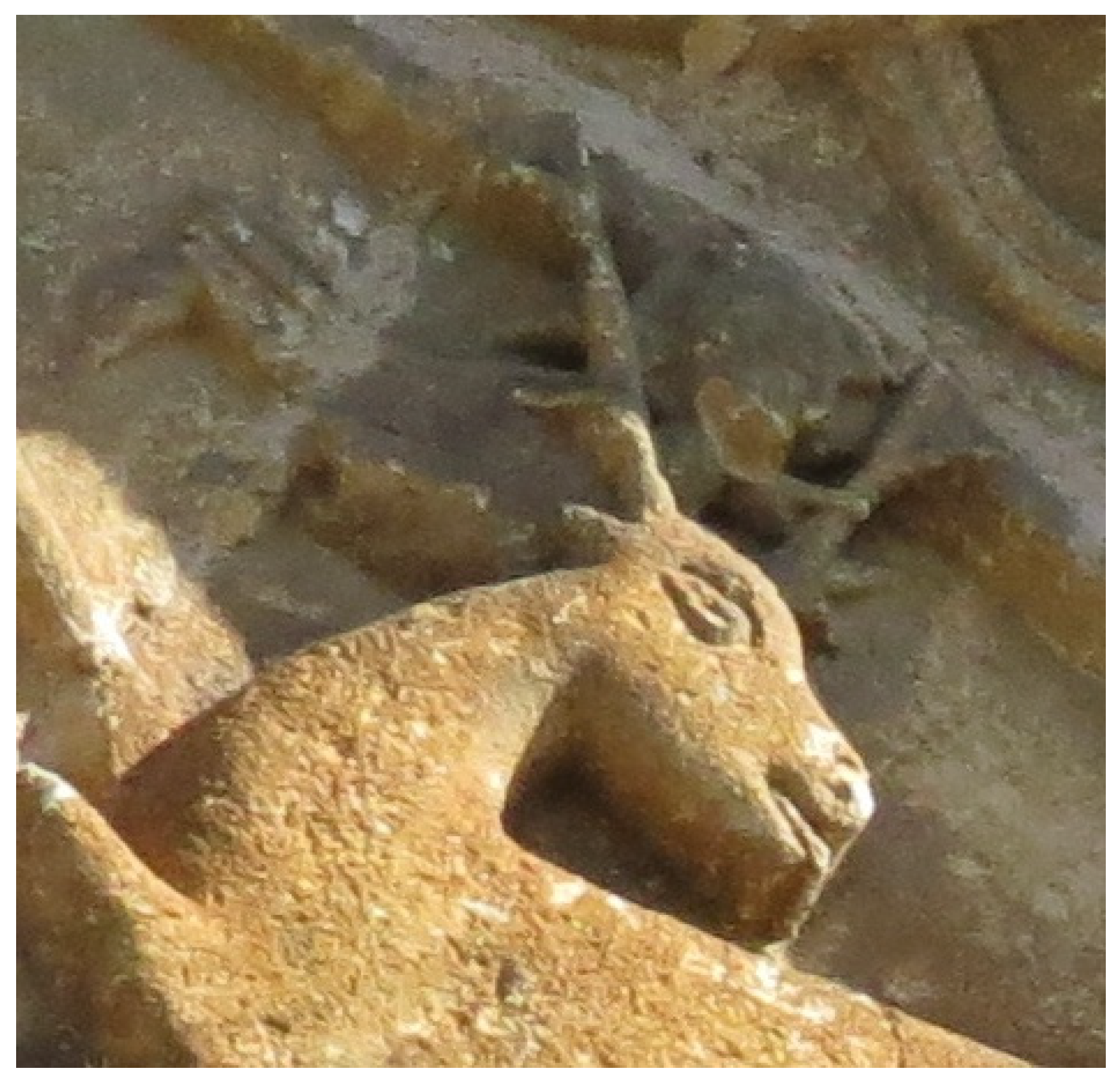 Religions 13 00152 g027