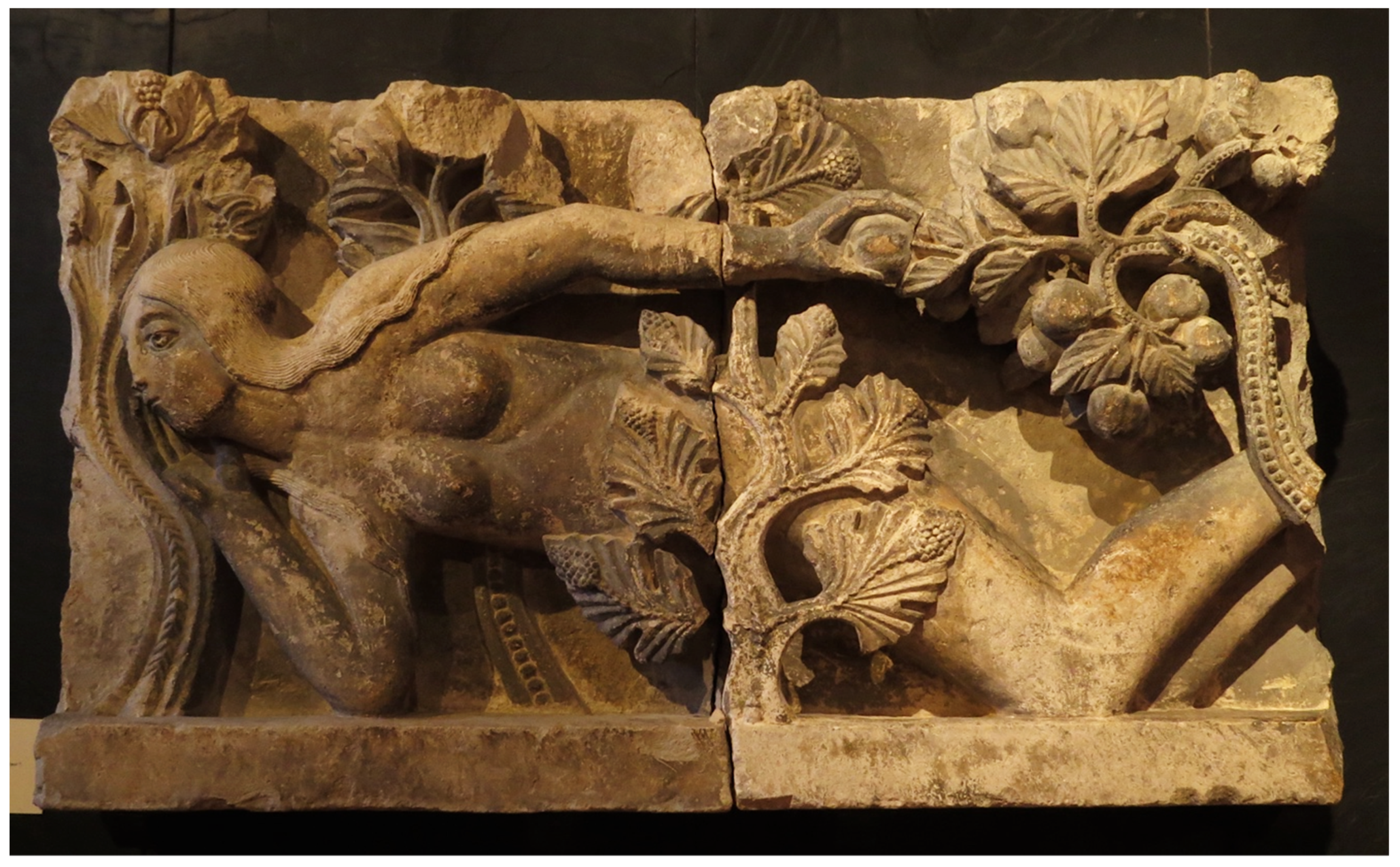 Religions 13 00152 g029