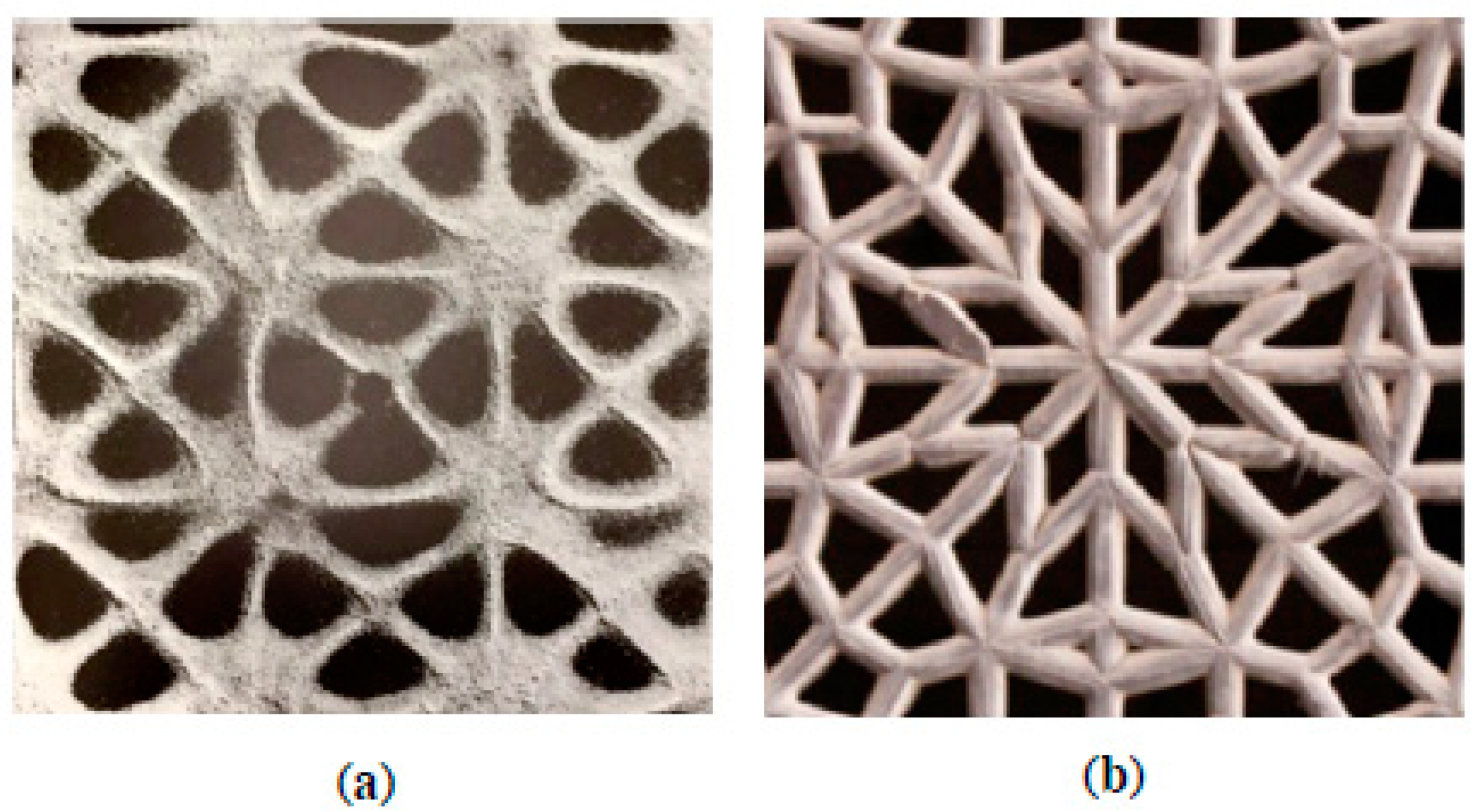 Religions 13 00190 g011